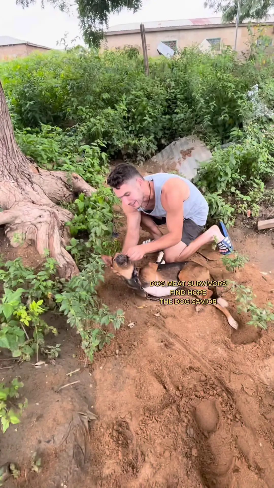 DOG MEAT SURVIVORS DOG SAVIOR VIRAL RESCUE NEWS Video published by