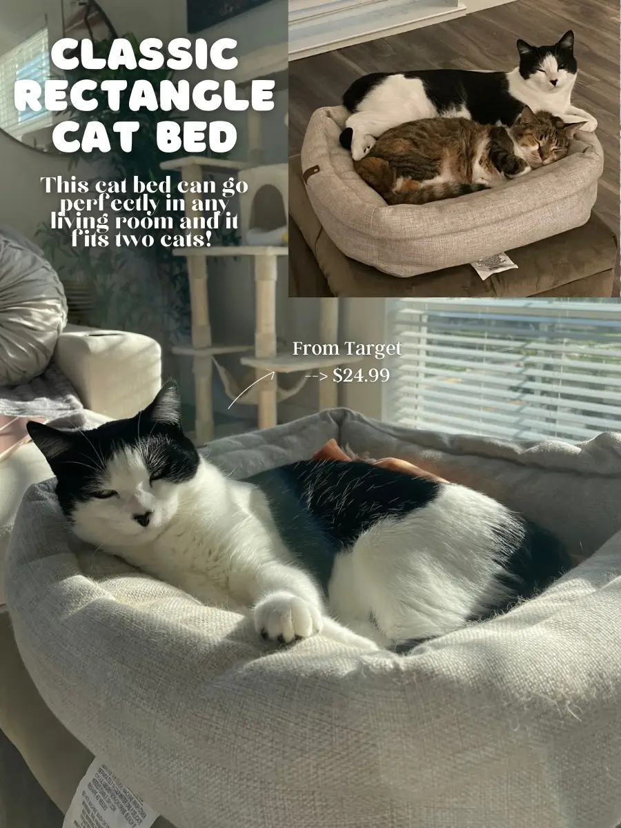 Target cat clearance bed