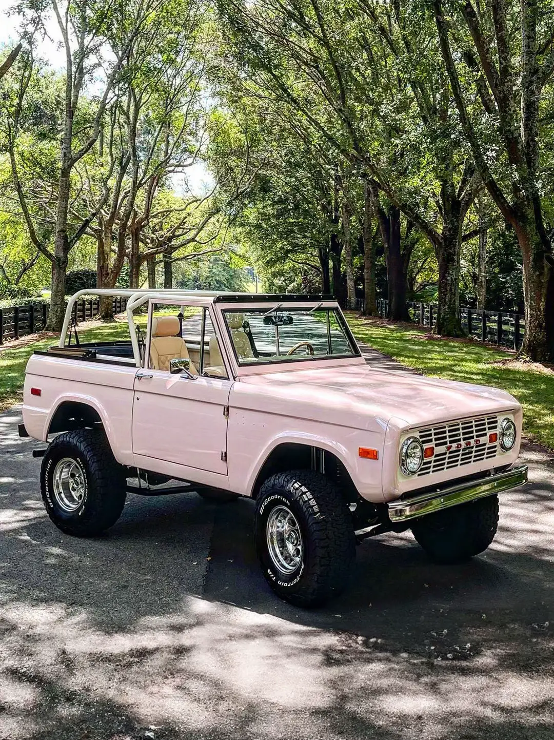 Vintage Pink Bronco - Spotlight on the LoveShackFancy Bronco