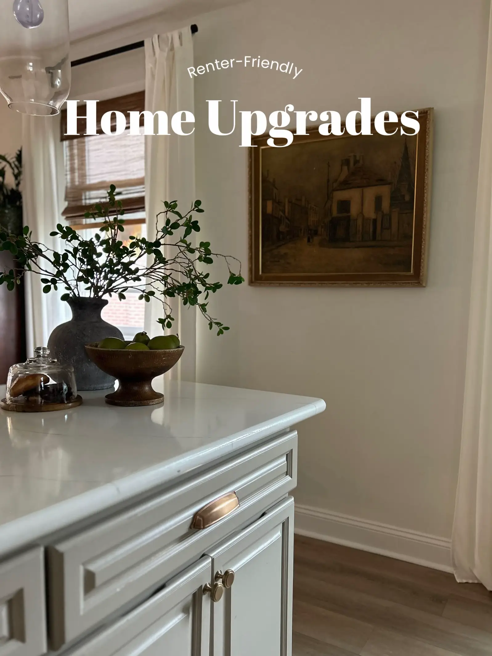 Renter Friendly Upgrades 