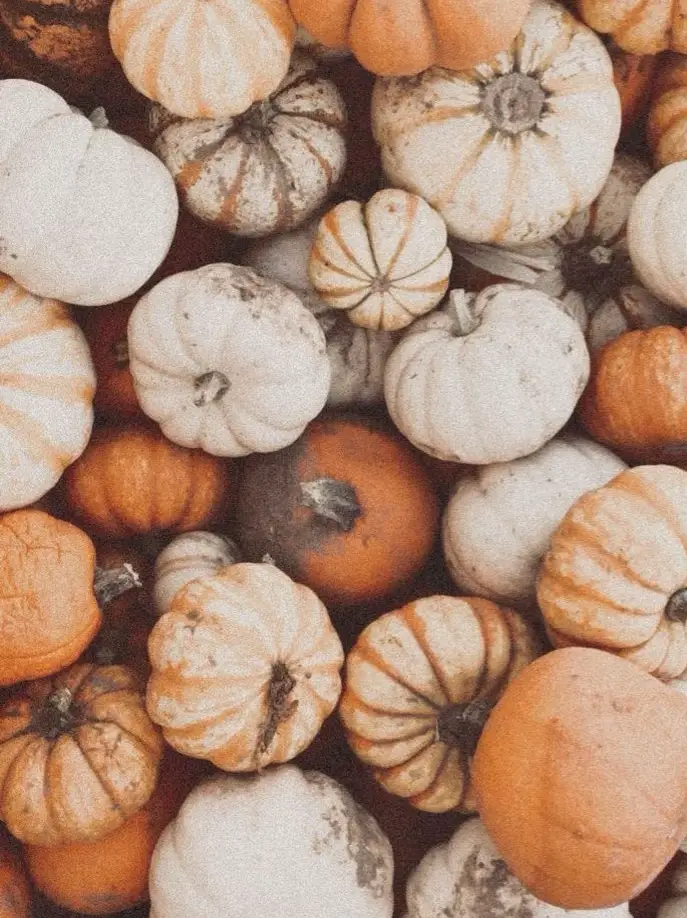 Cute fall background ideas ✨, Gallery posted by TJglam page
