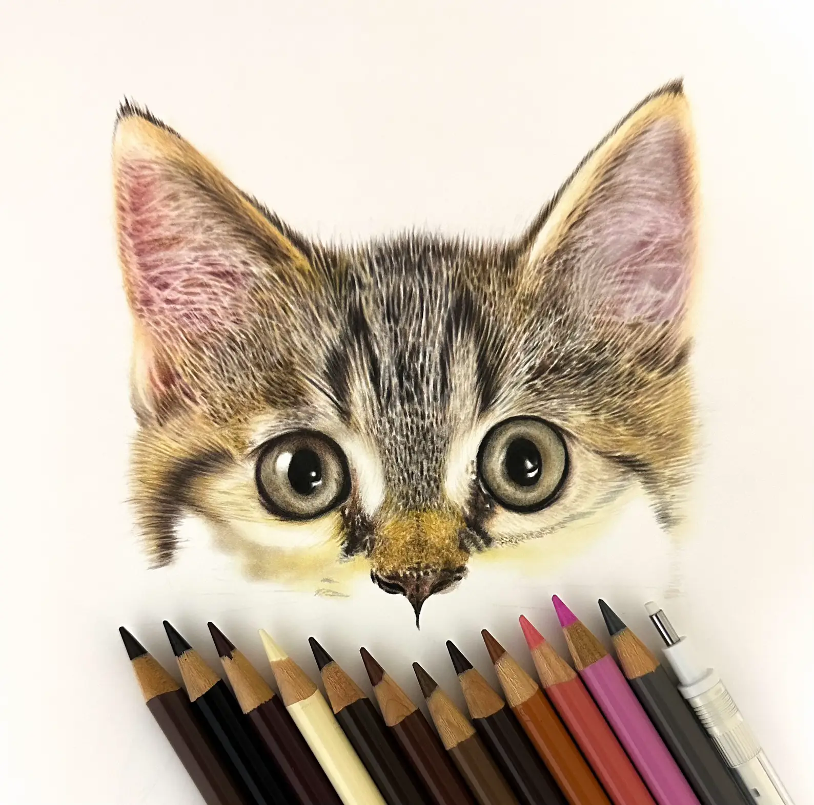 子猫の色鉛筆画🐈 | ここまるが投稿したフォトブック | Lemon8