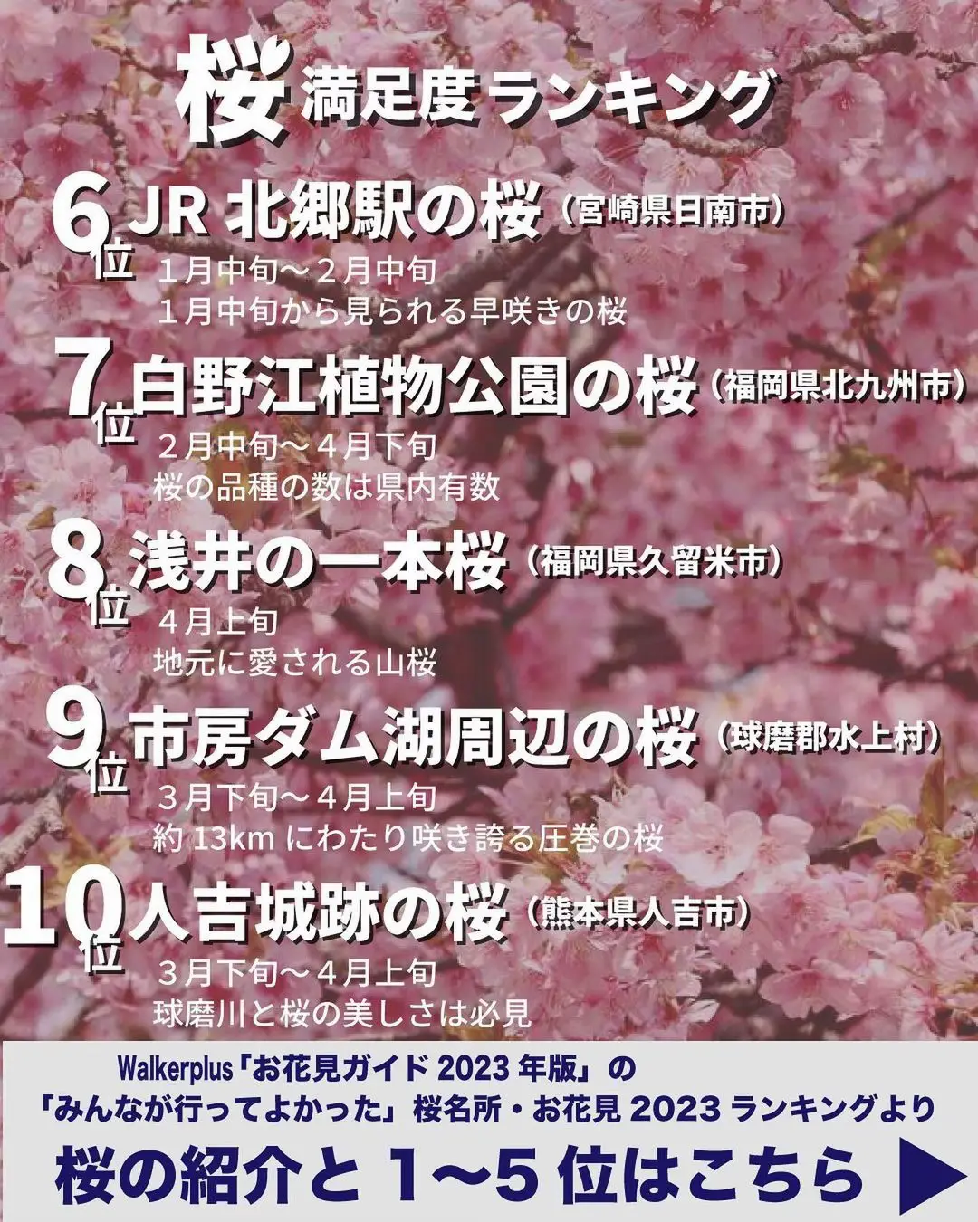 2024年の熊本桜スポットのアイデア20選