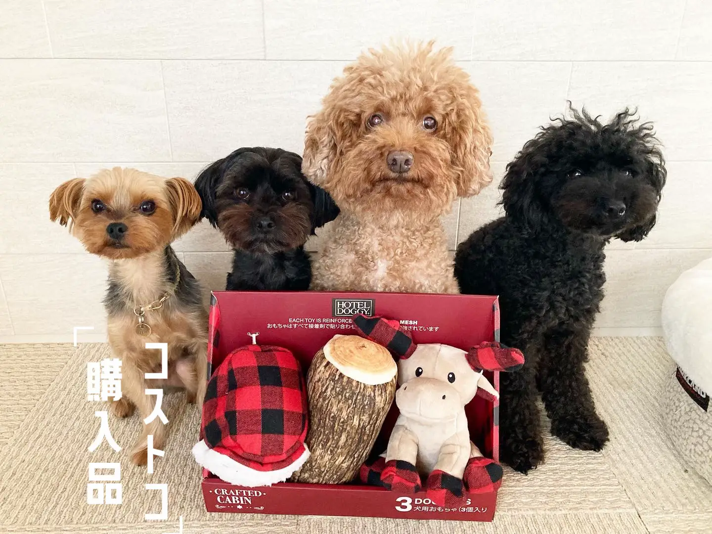 Costco Doggy Toy Gallery Posted By 愉