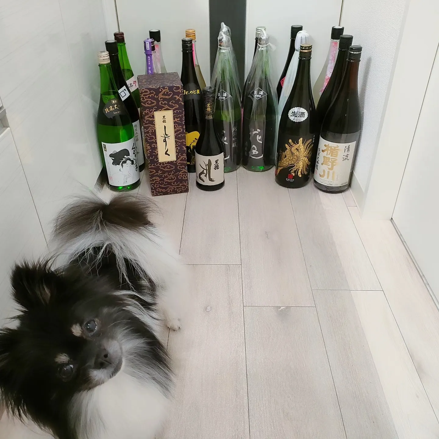 黒滝 しずく限定品 1、8Lです。 黒龍 大吟醸 しずく 1800ml |