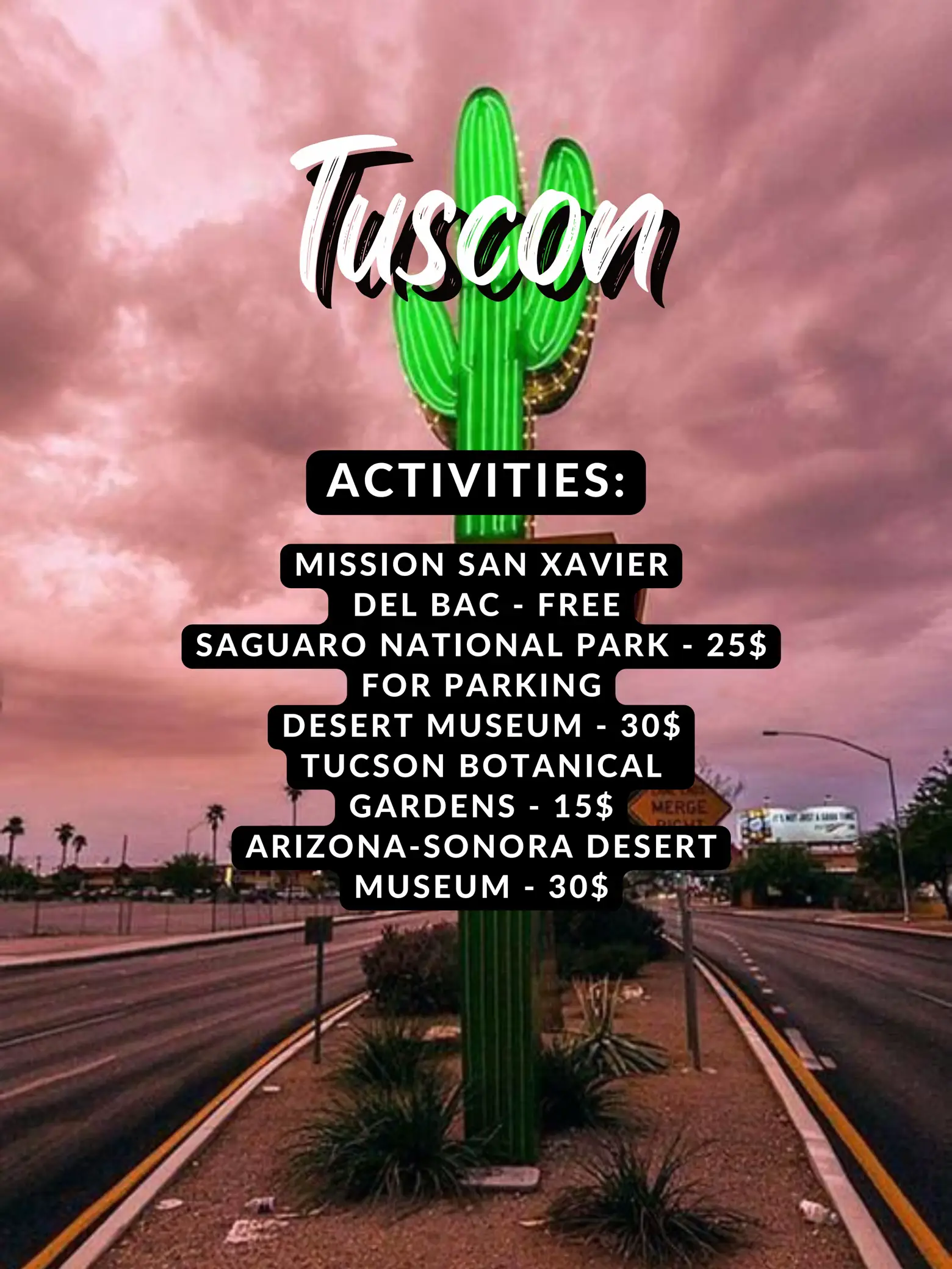  A picture of a cactus with the words "Tuscon"