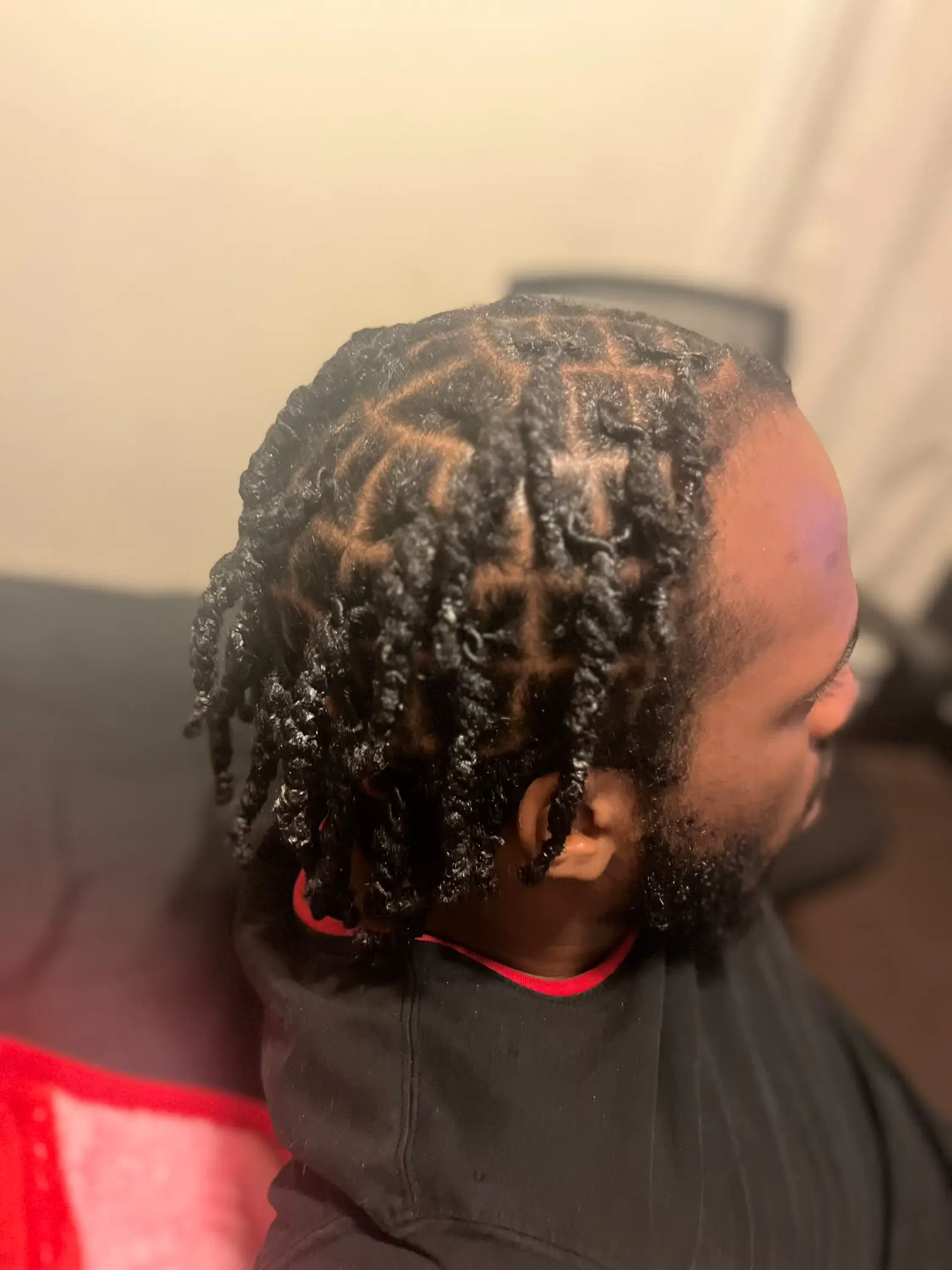 19 top Transitioning from Braids to Locs ideas in 2024