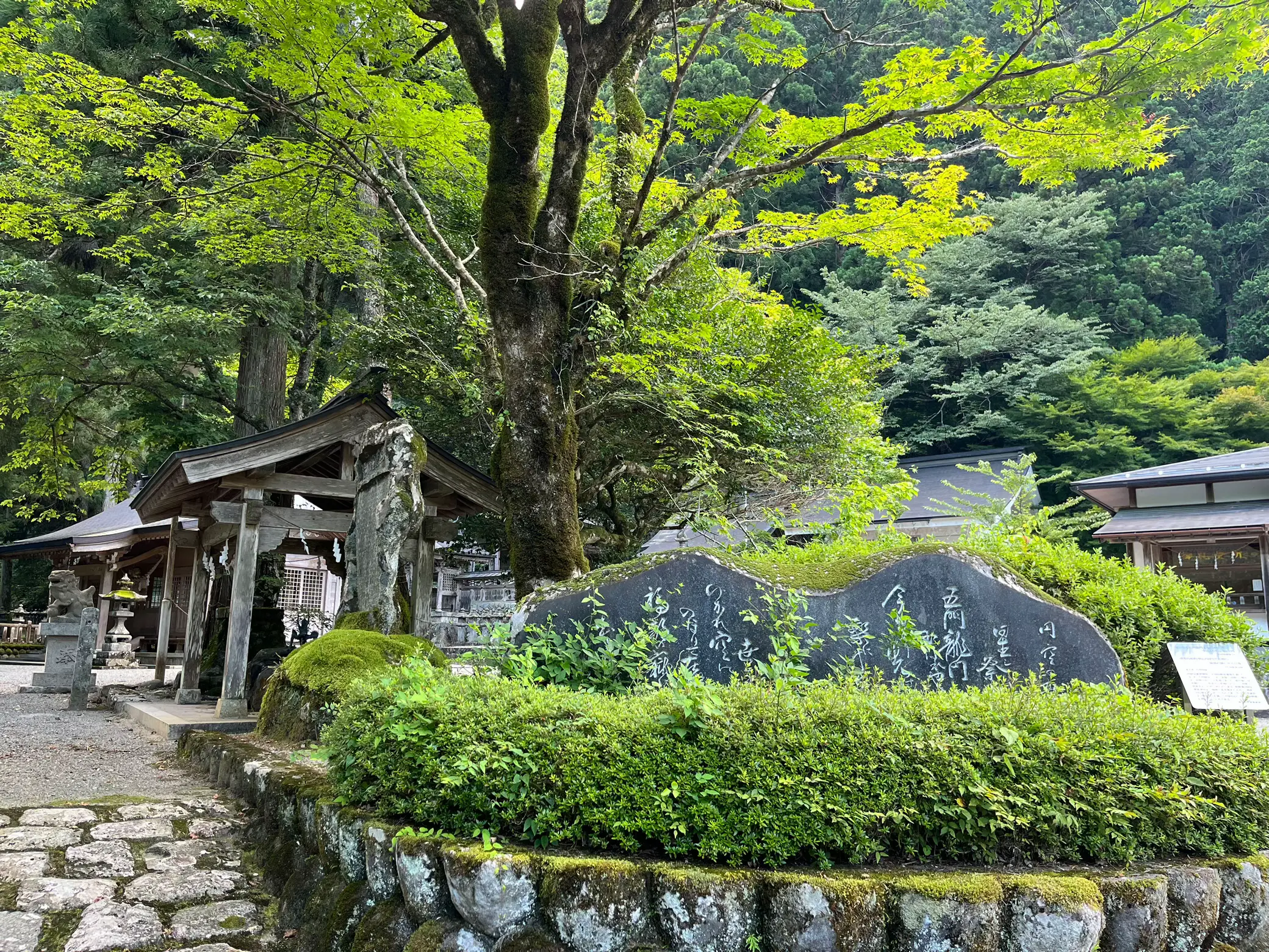 やっと行けました😊✨星宮神社⛩ | きみが投稿したフォトブック | Lemon8