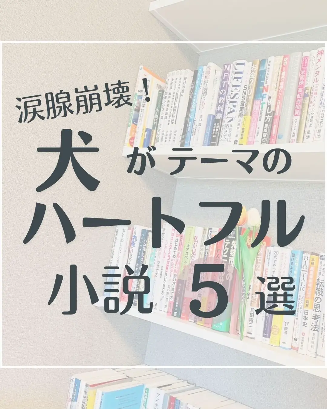 柴犬大好きな方におすすめの書籍 - Lemon8検索