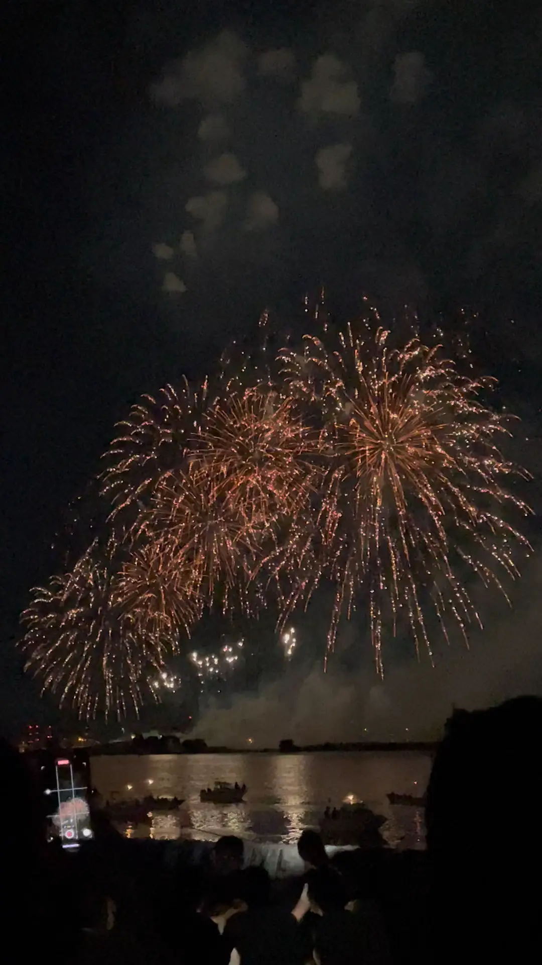 来年の参考に】桑名水郷花火大会2024年 動画③ 静止画も投稿中 | モモ 初めてのネコとの暮らしの投稿動画 | Lemon8