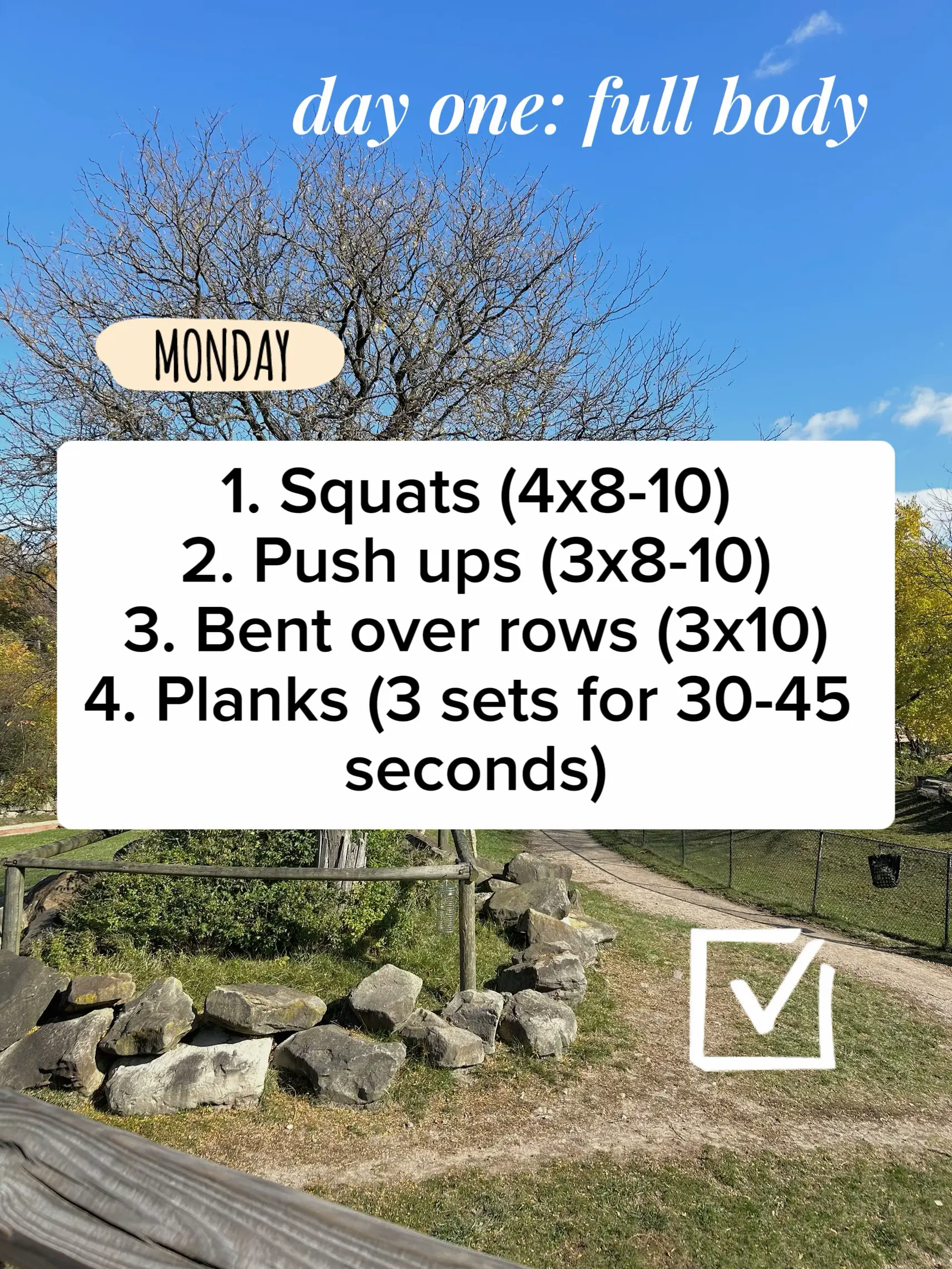 Workout Split Idea For Beginners! | Gallery Posted By Cameron Resor ...