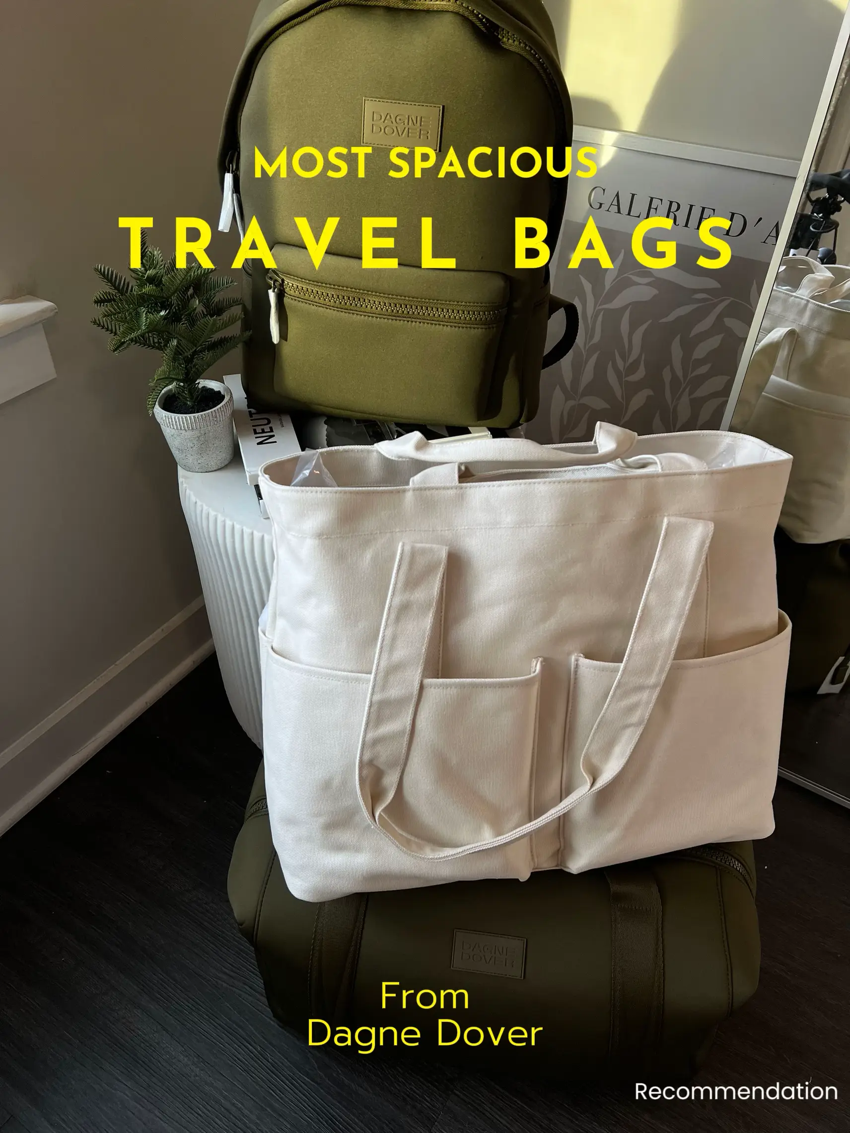 Dagne Dover SMALL Vida Tote Review + Packing! 