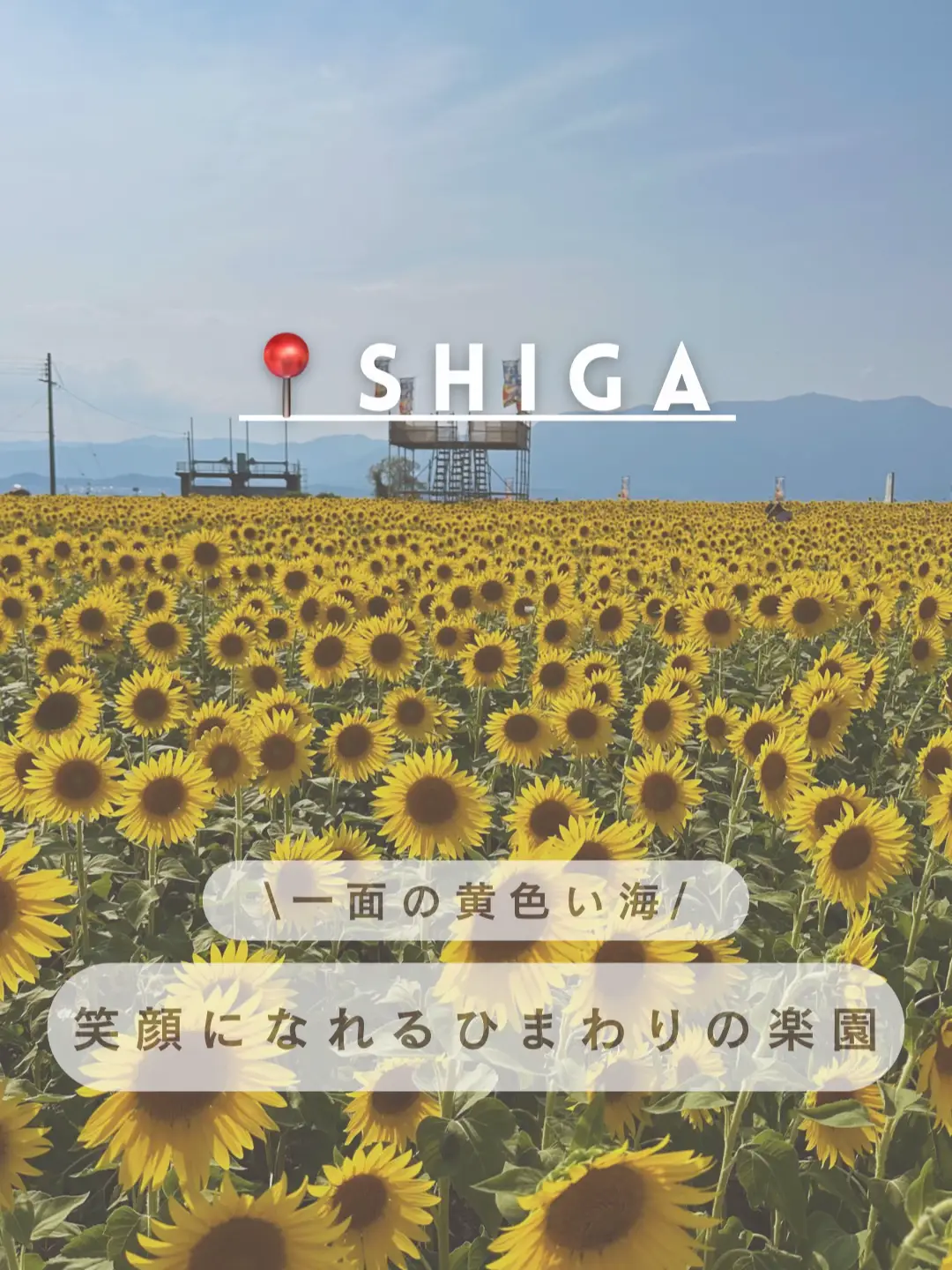 グラスアート シーグラスアートひまわり畑で大きな花火 シーグラス