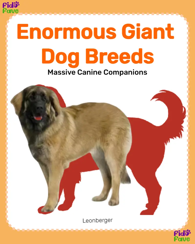 Enormous best sale dog breeds