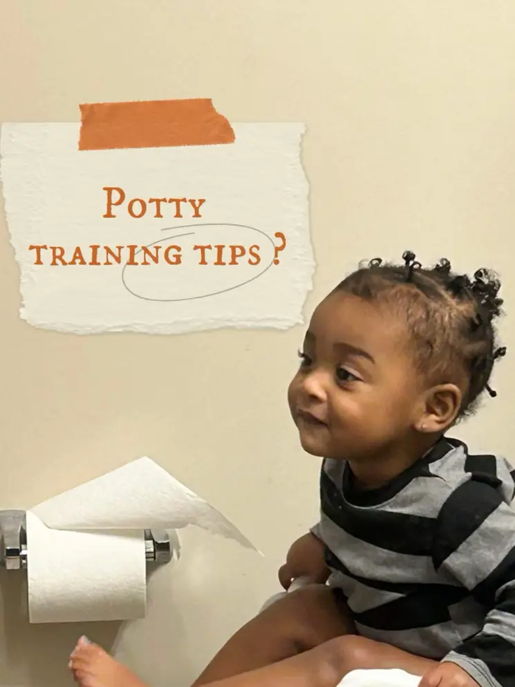 How to Successfully Potty Train Your Toddler - Lemon8 Search