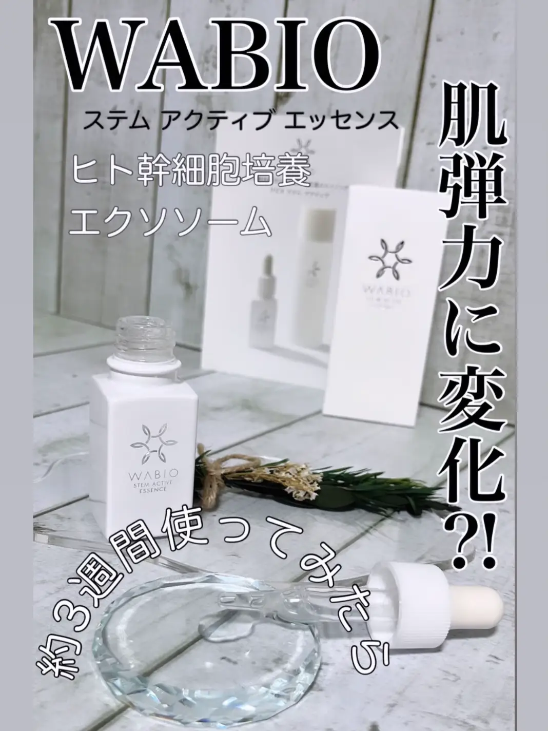 話題のエクソソームとヒト幹細胞の美容液 | ☺︎ミク☺︎熊本が投稿