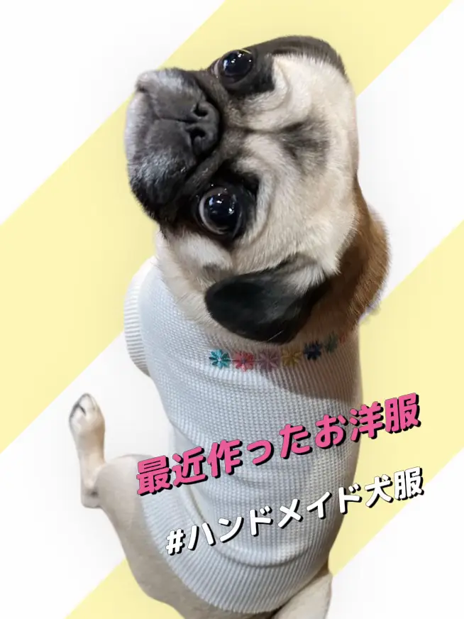 通販安心 かりん様♡ ハンドメイド 犬服 - 素材/材料