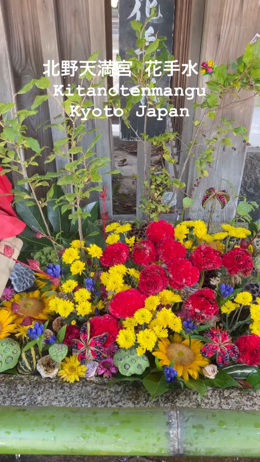 京都 北野天満宮 花手水💐✨ | kyoto_kenの投稿動画 | Lemon8