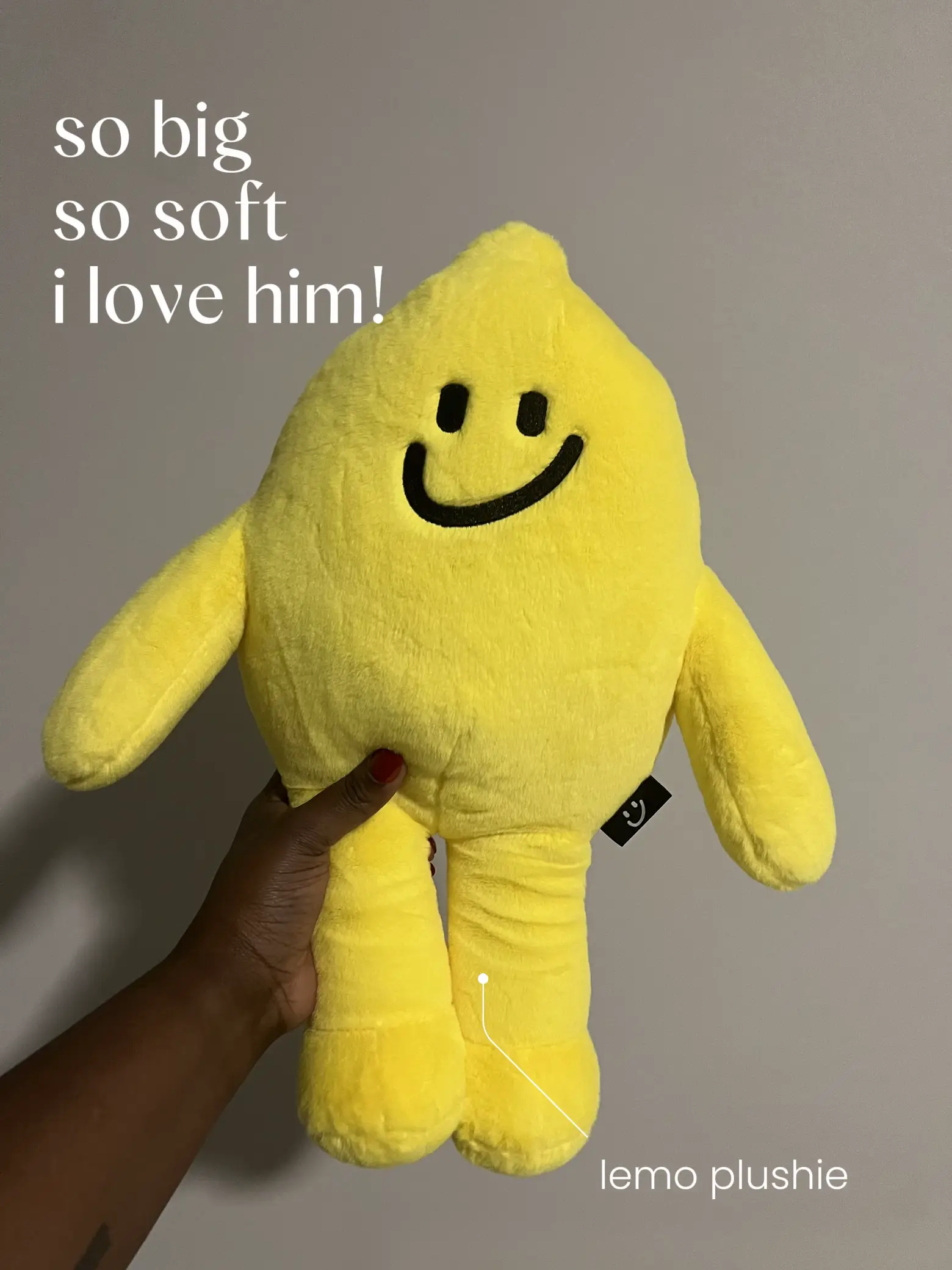  A person is holding a yellow plushie that says "I love him!".