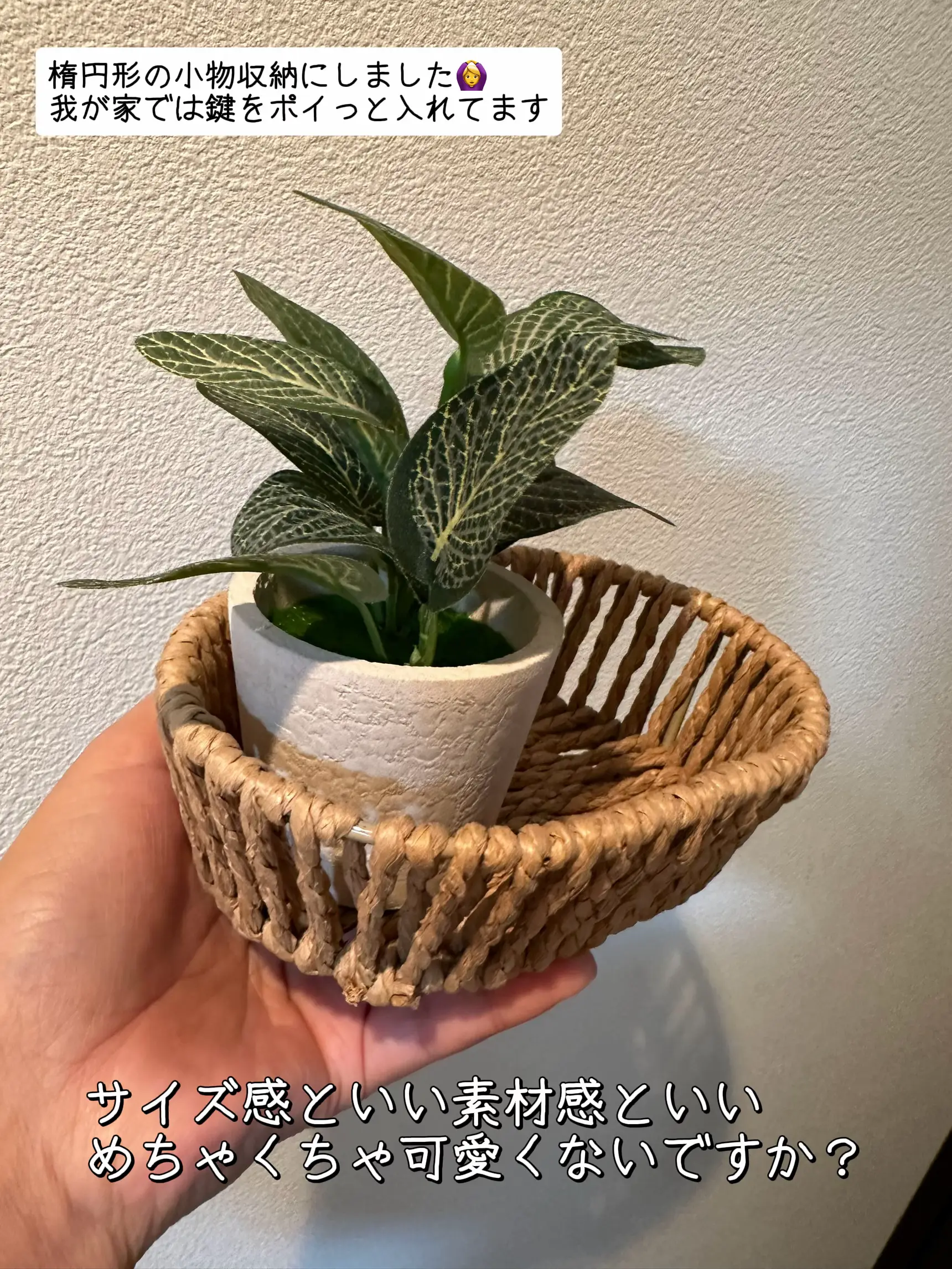 新品処分｜苦情対策｜高品質高性能｜約30dbダウン｜防音犬小屋