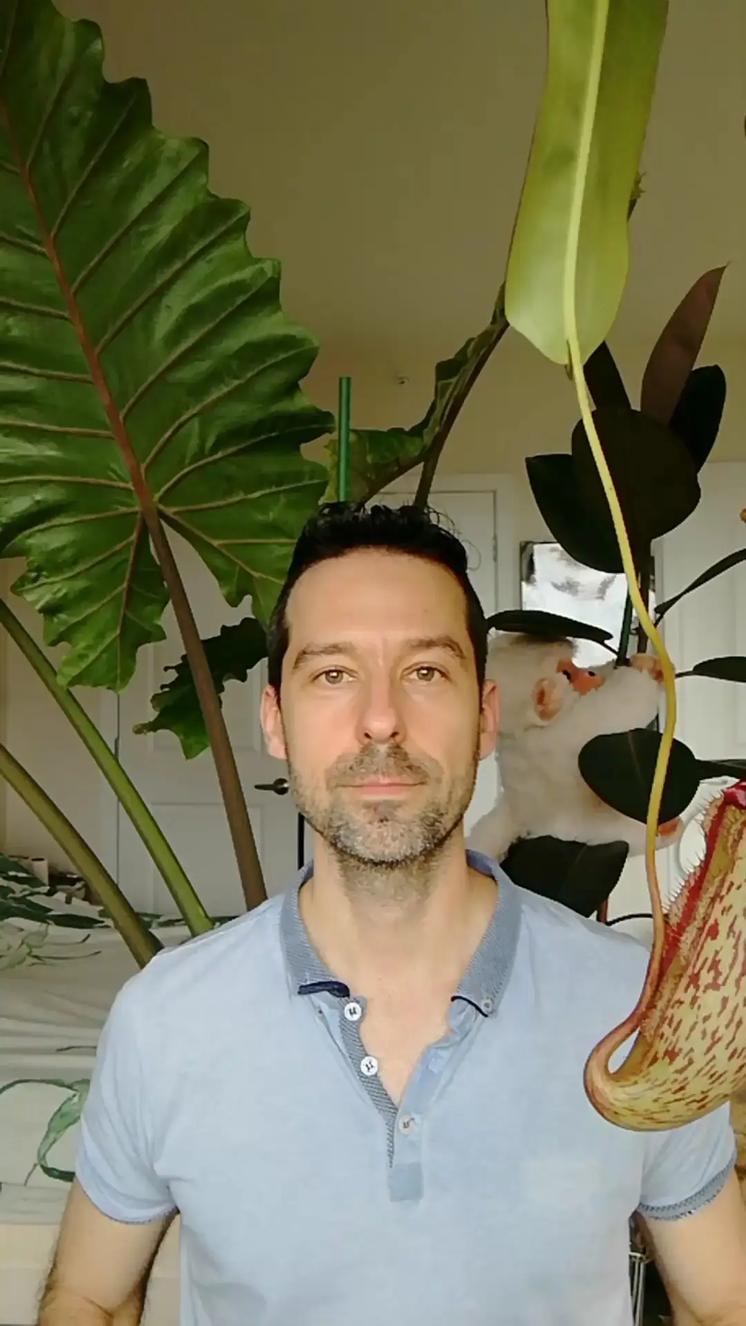 How Can Plants Live In Water Video Published By Mr Houseplant Lemon8 how-can-plants-live-in-water-video-published-by-mr-houseplant-lemon8