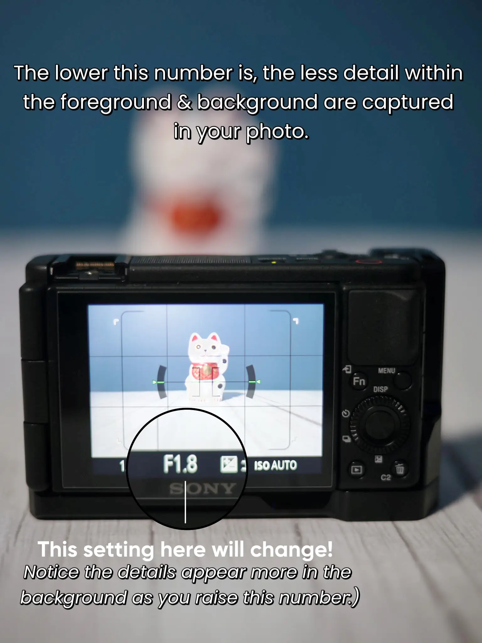 Sony ZV-1 II Tutorial - A Quick Start Guide For Beginners 