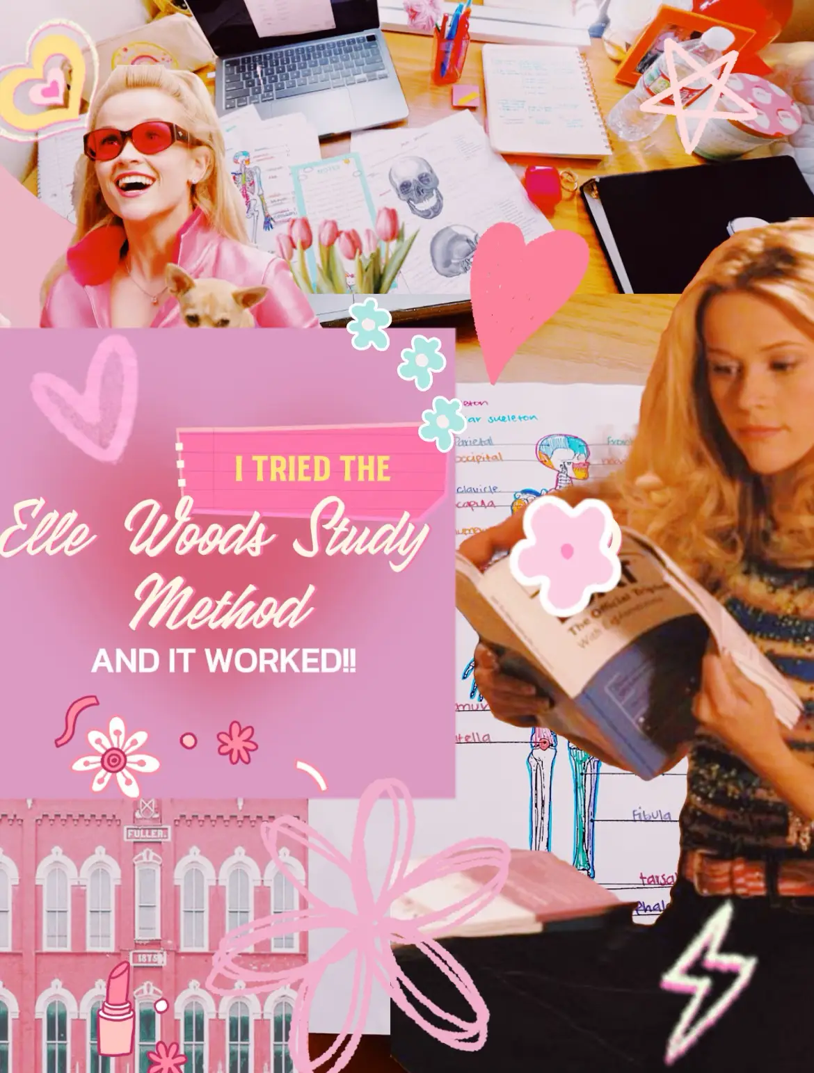 Elle Woods Study Method - Lemon8 Search