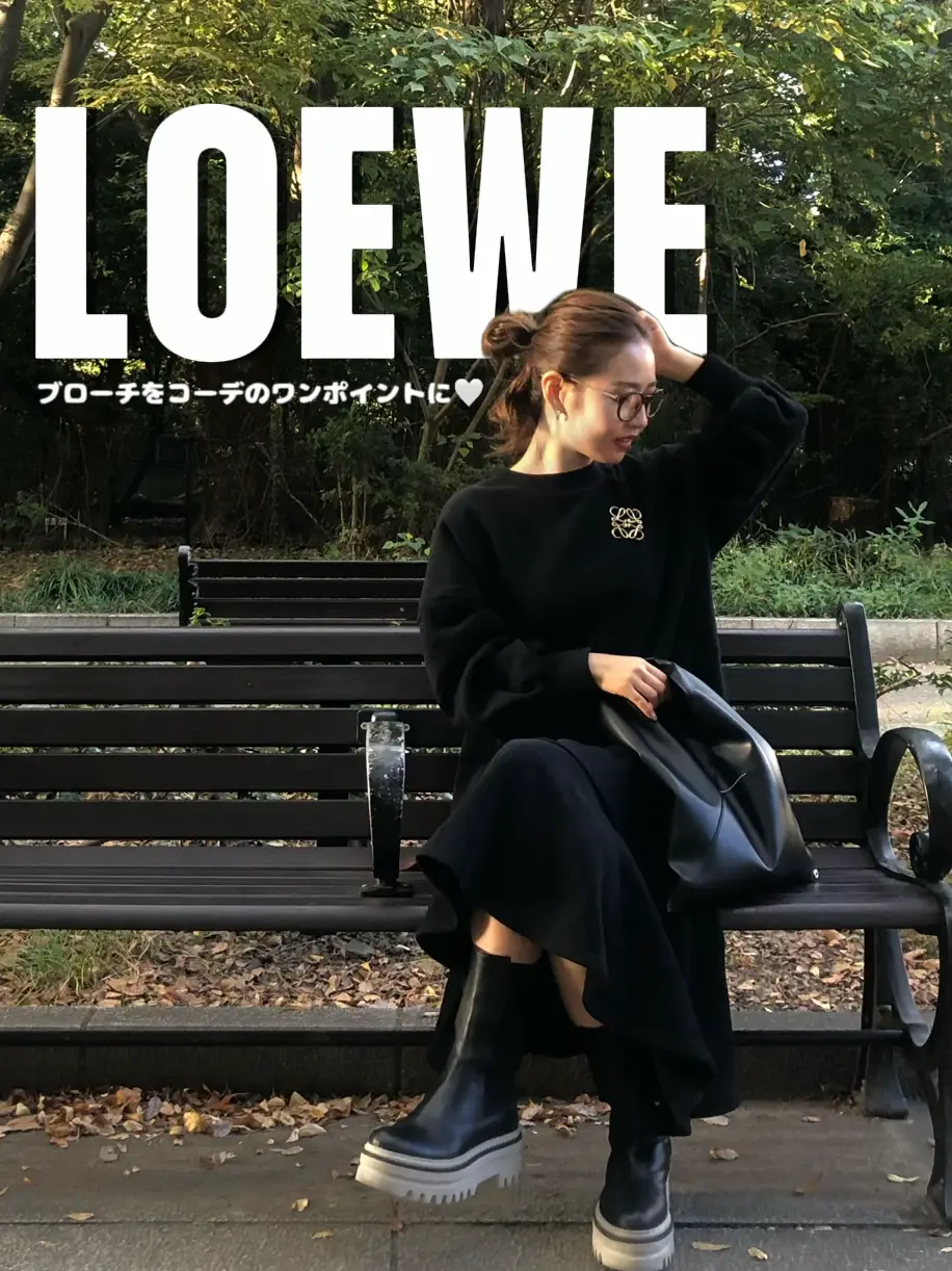 新作から定番まで LOEWE ロエベ ブローチ - アクセサリー