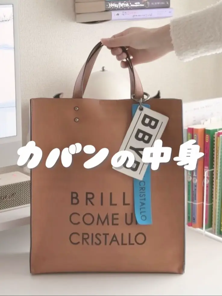 ꒰ 仕事＆勉強 ꒱社会人のバッグの中身👜