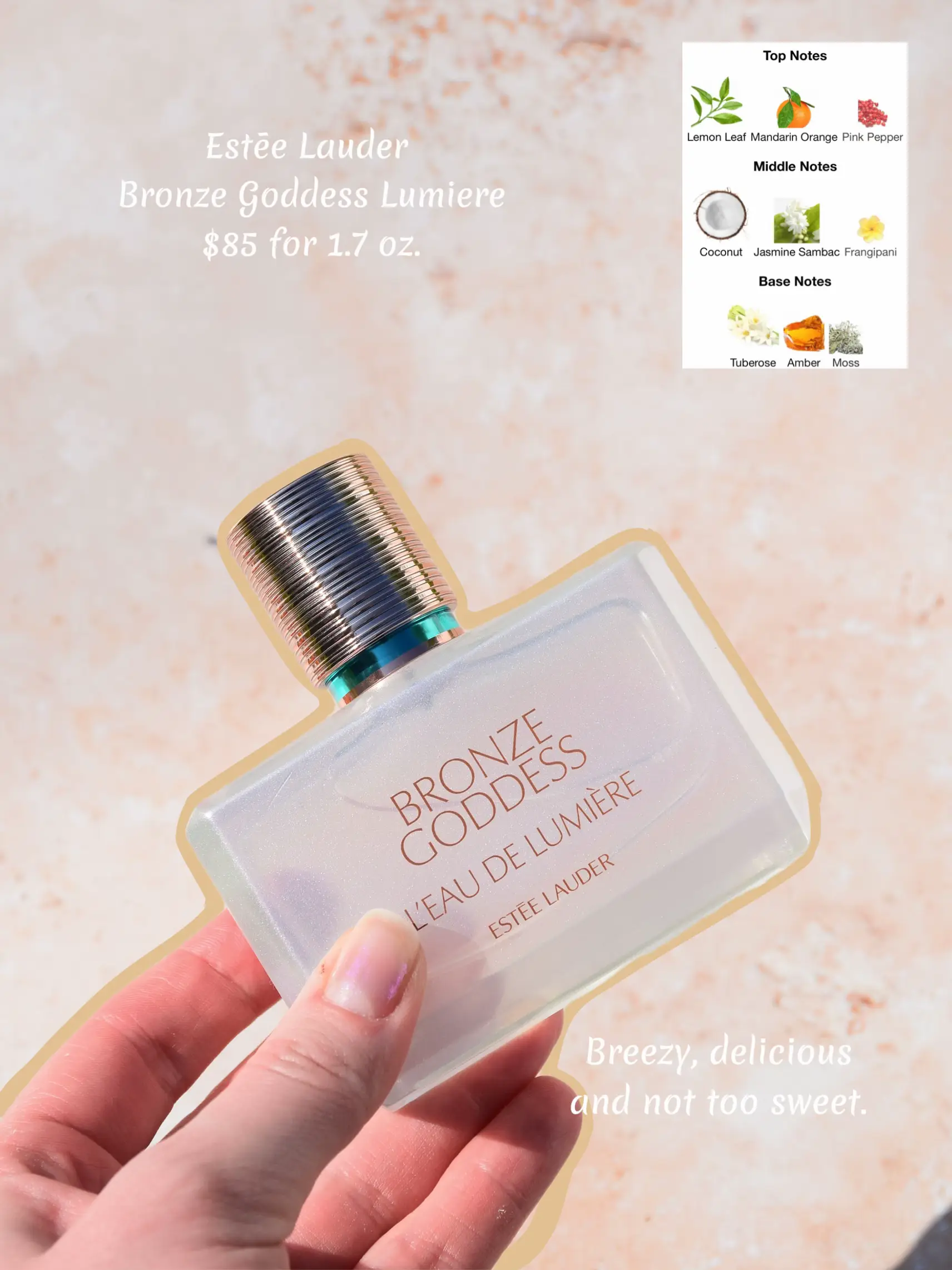 Tropical Paradise Eau De Parfum - Luxury Perfumes - WEN®