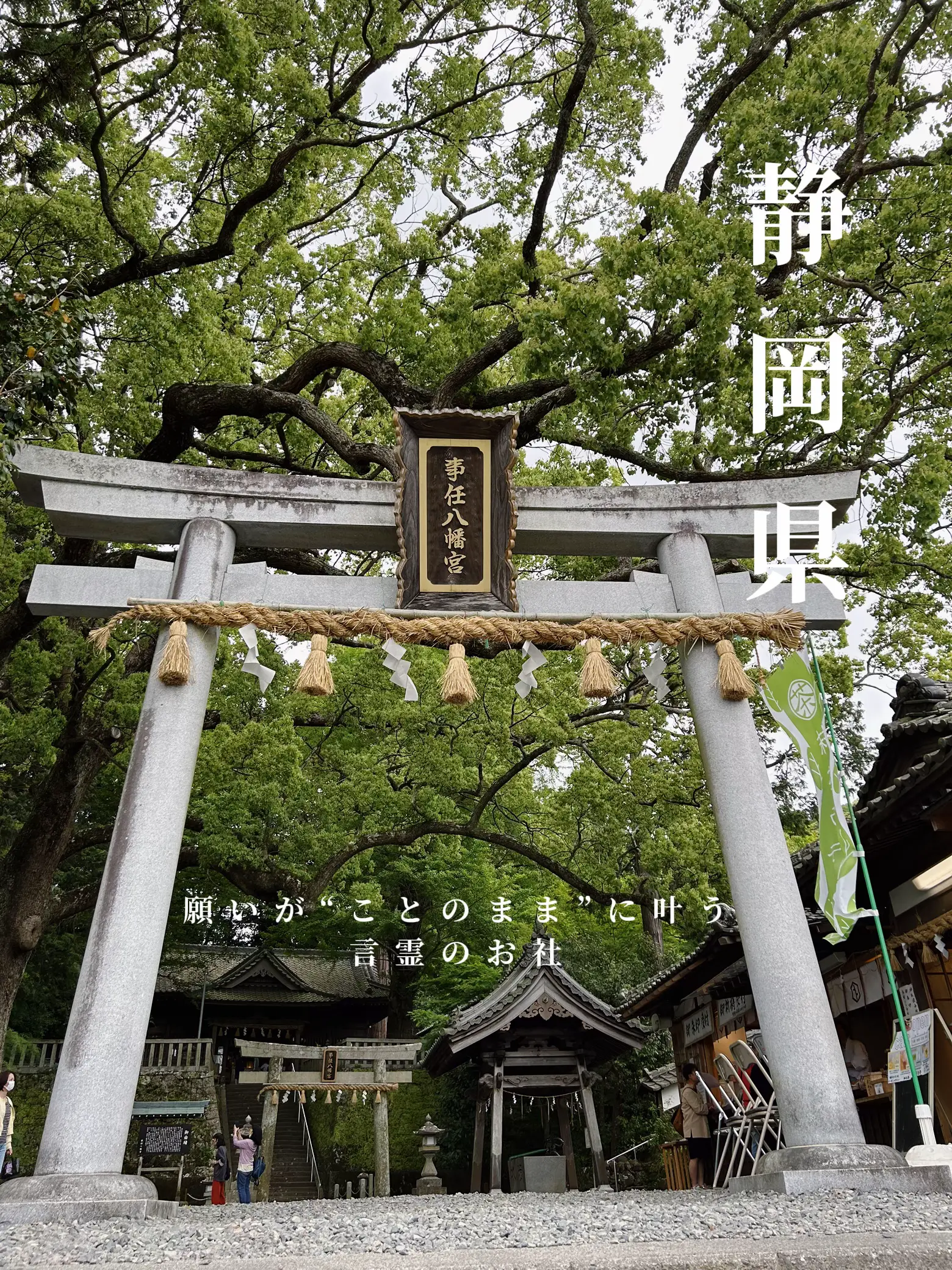 熱海】伊豆山神社 縁結び、強運パワースポット！ | miyuが投稿したフォトブック | Lemon8