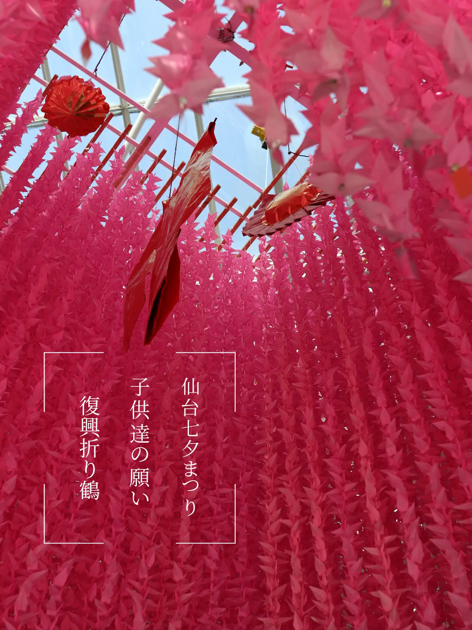 東北 仙台 夏の風物詩 78000羽の折鶴の祈り✨ | bacosanが投稿した