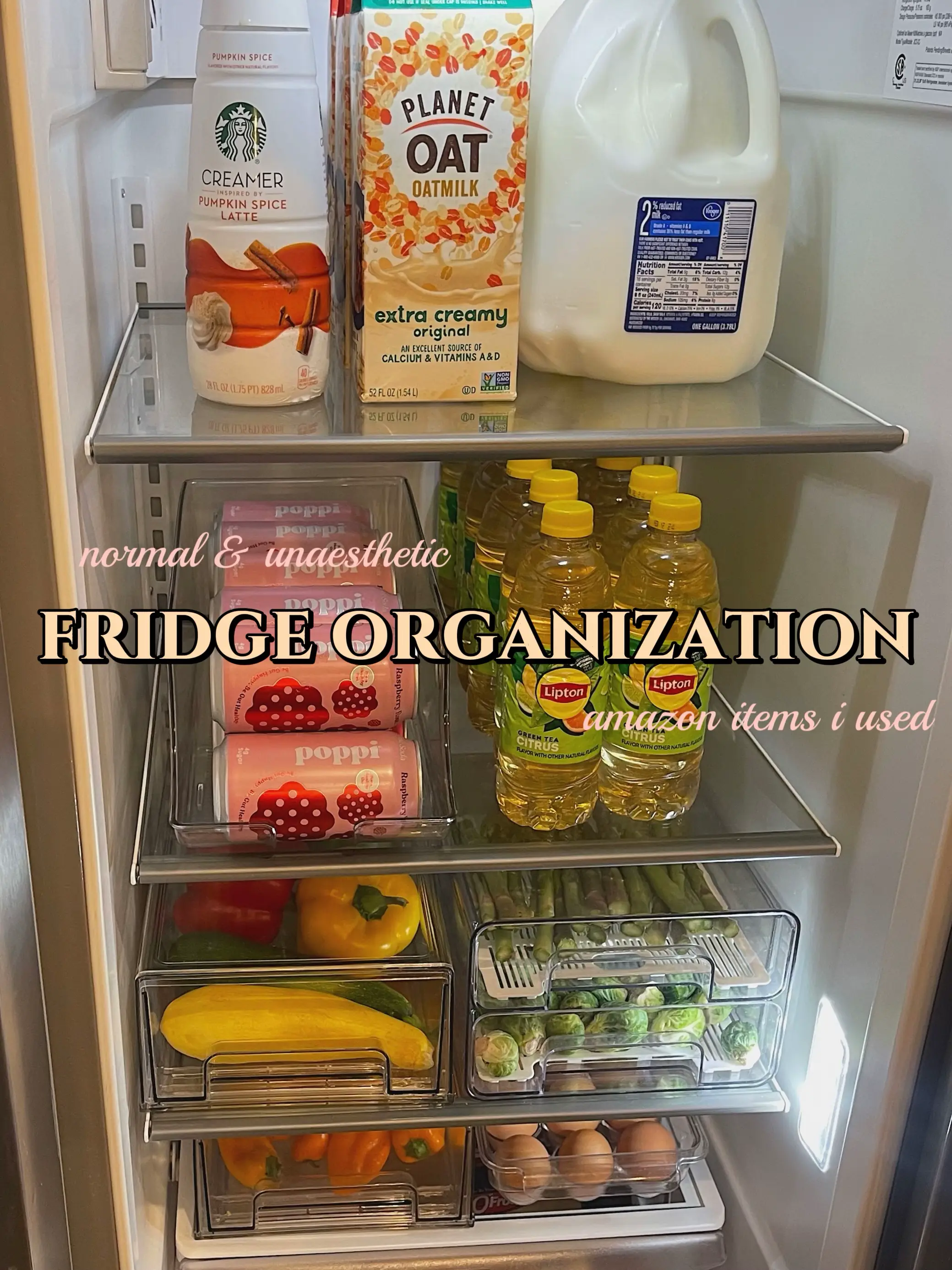 $50 Kitchen Fridge Organization to Eat Healthy — Home with Marika