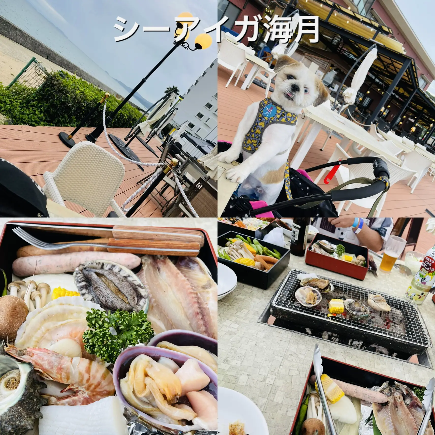 淡路島 bbq ペット