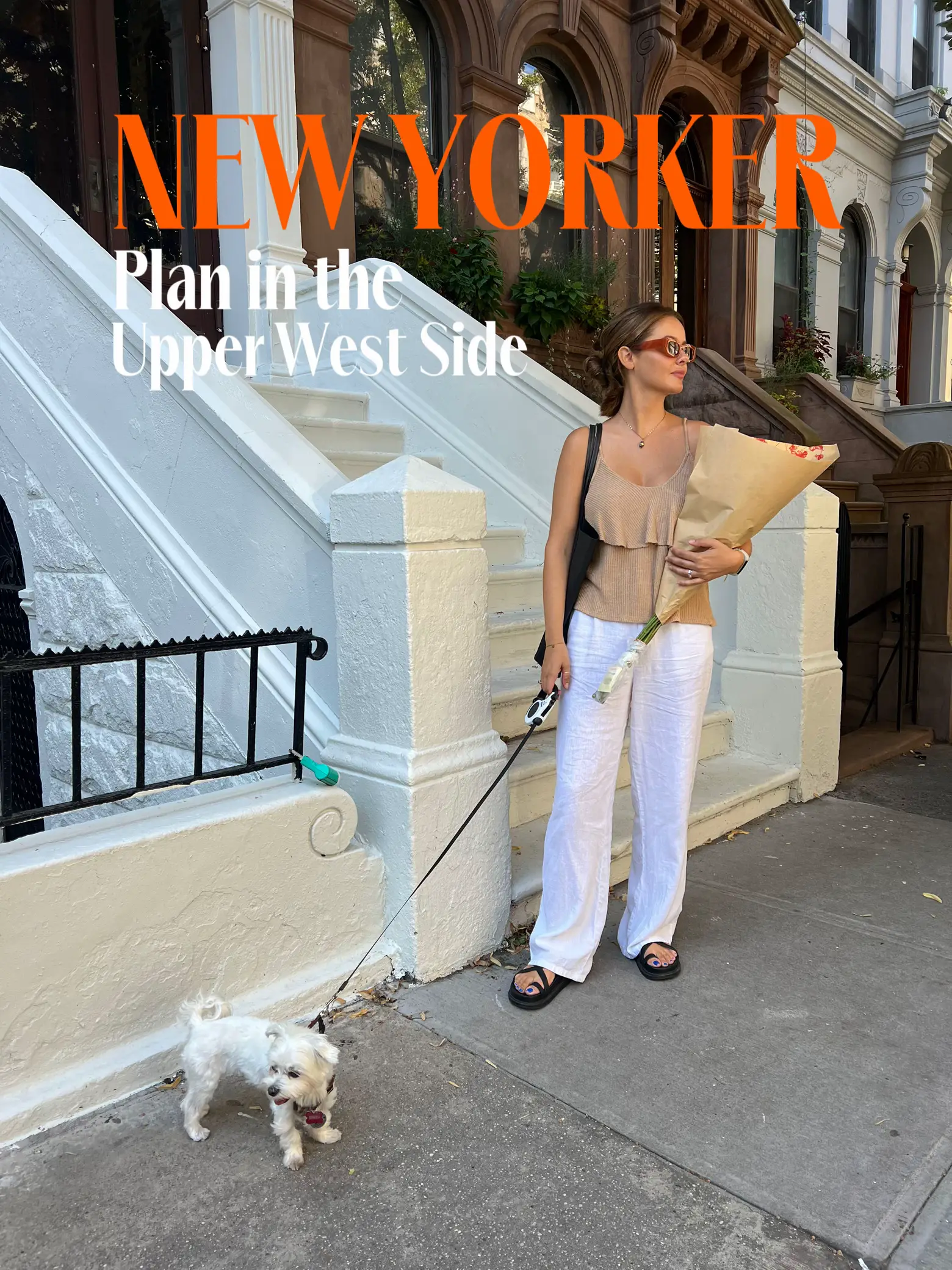 New Yorker plan - Upper West Side's images(0)