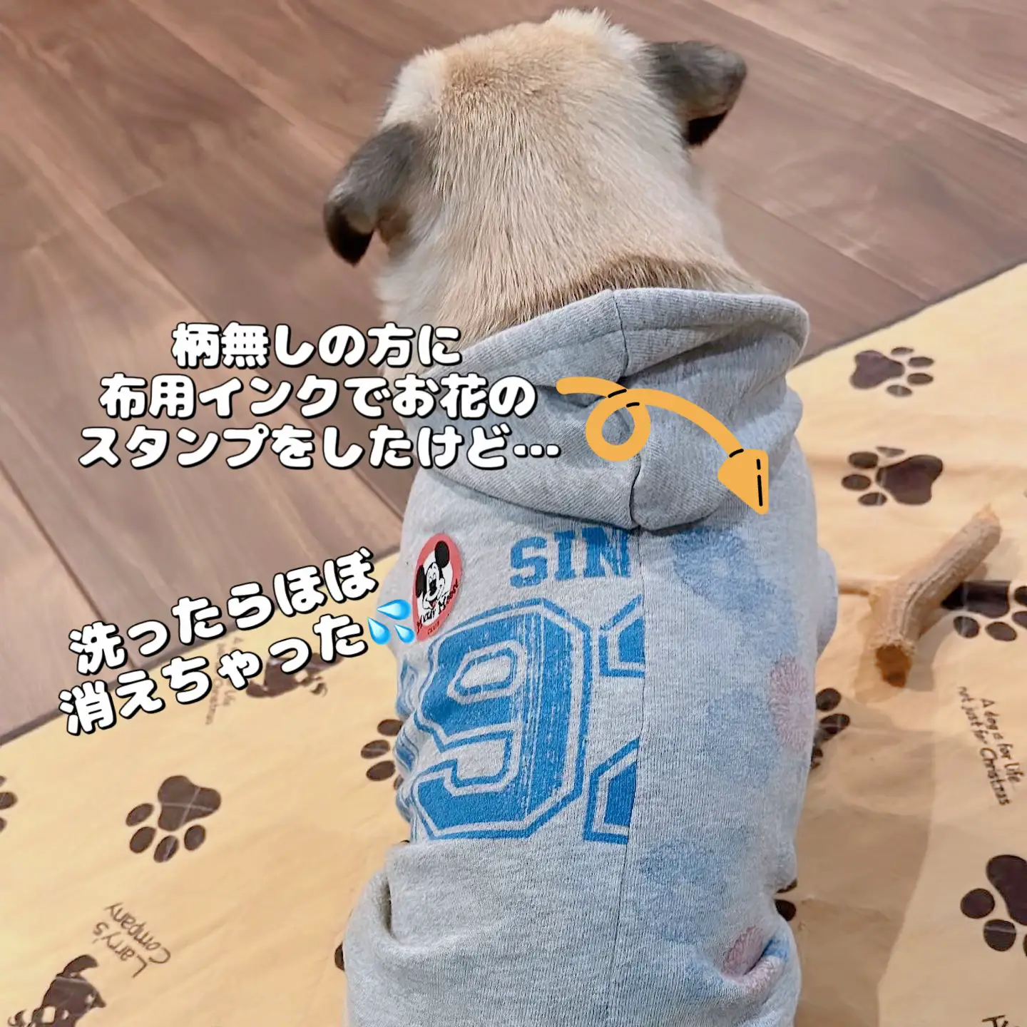 犬服ハンドメイド | nate-hospital.com