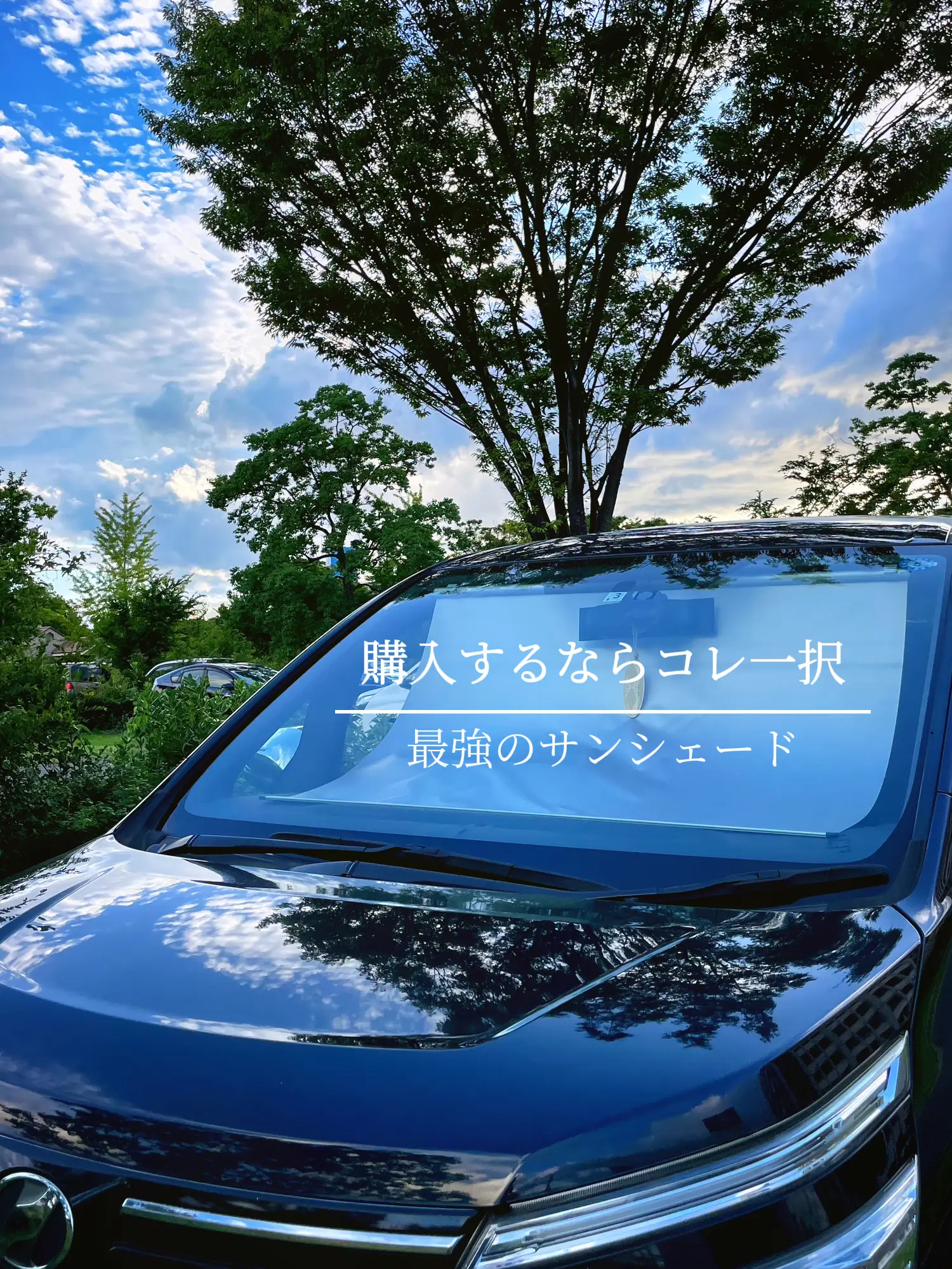 車のサンシェードはこれ一択☀️