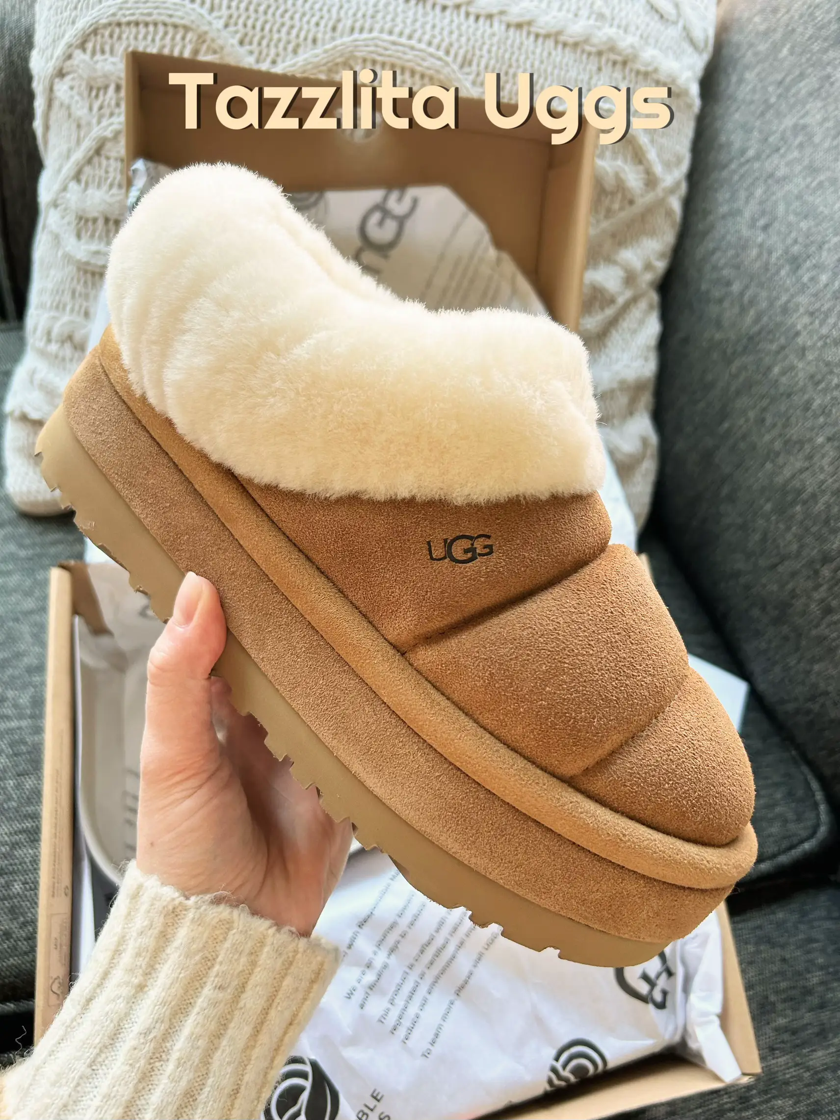 Search uggs shop