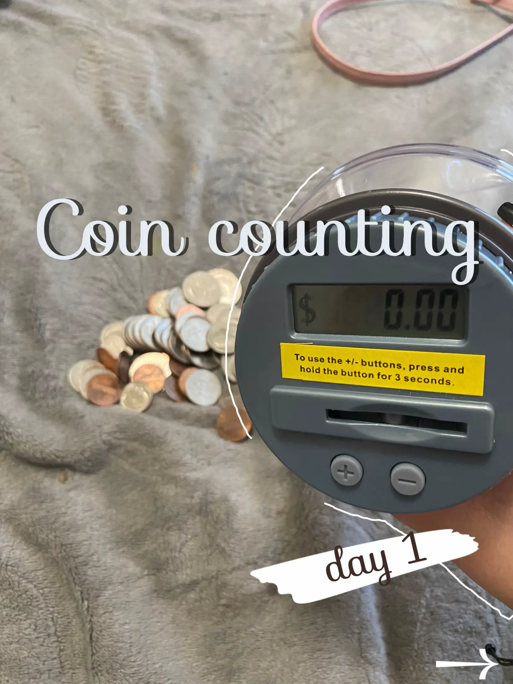 Coin Counting - Lemon8 Search