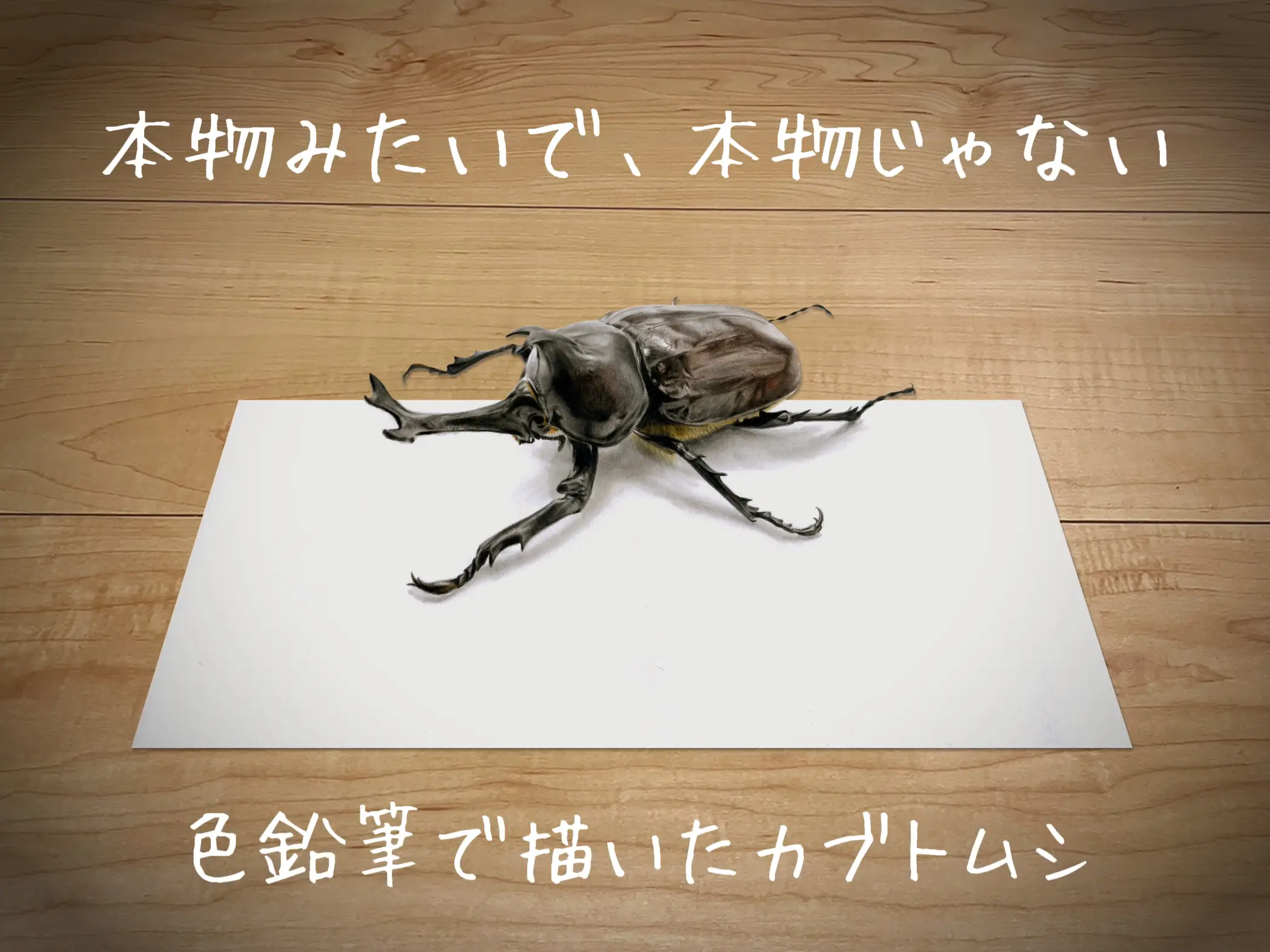 色鉛筆で描いたカブトムシ | ここまるが投稿したフォトブック | Lemon8