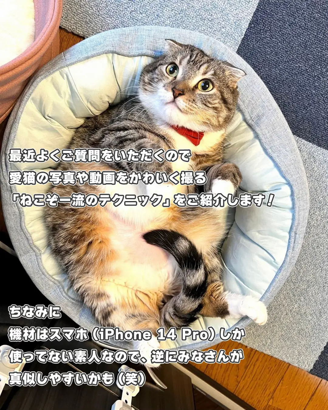 ౨ৎ にじねこsaki様ご専用♡ 薄暗く