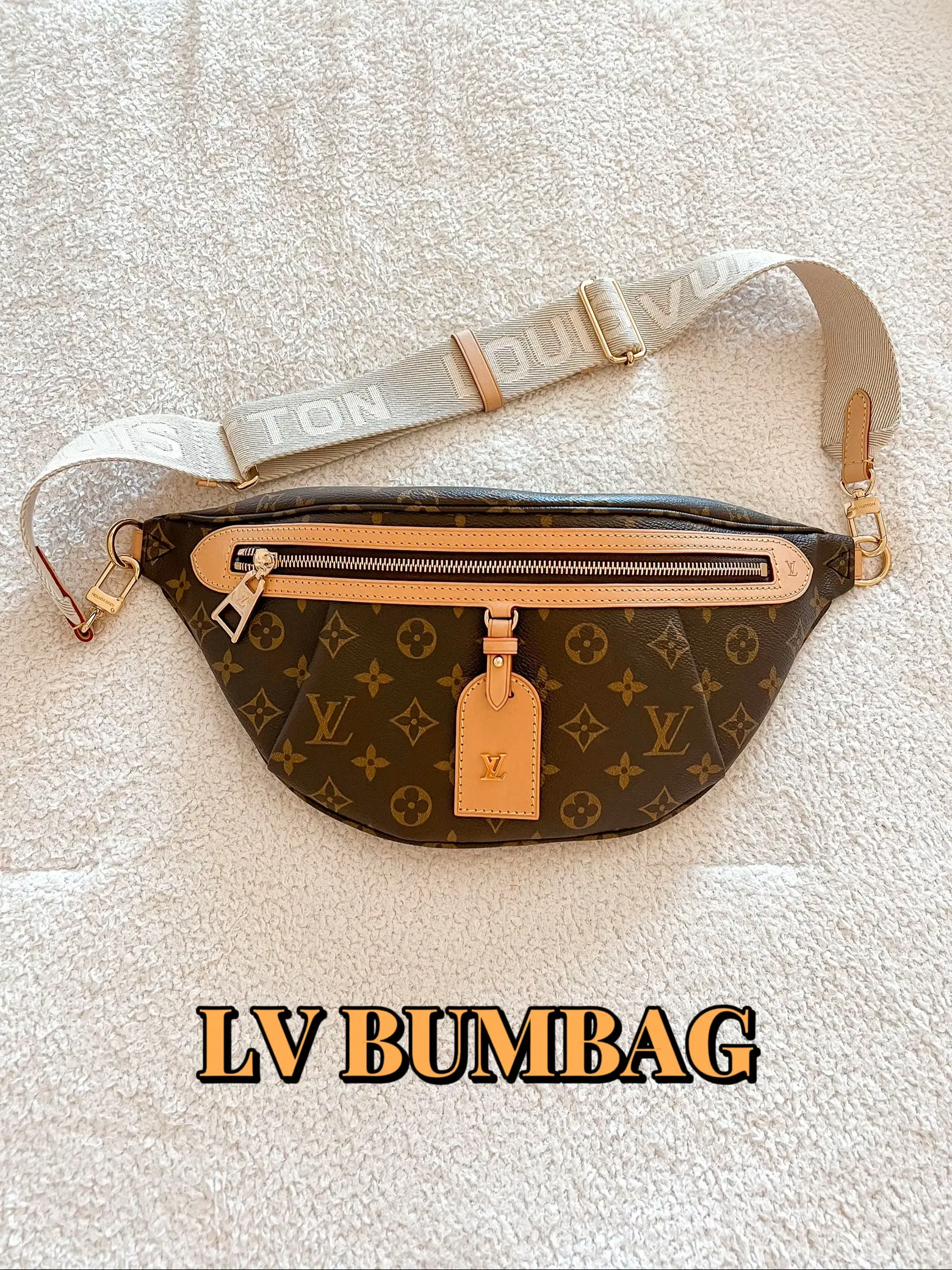 Bag Organizer for Louis Vuitton Mini Bumbag