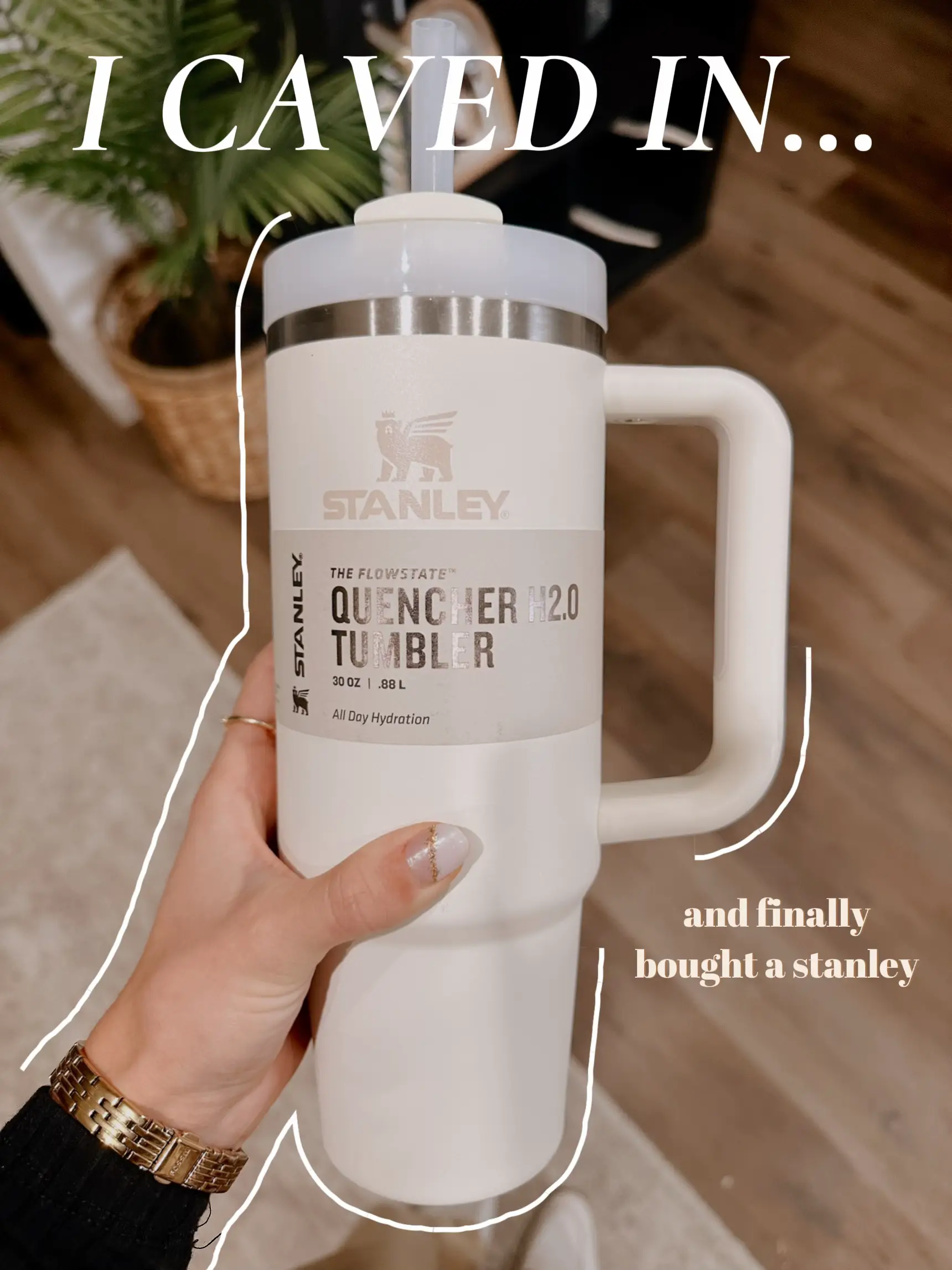 is the stanley 40 oz better or 30 oz｜TikTok Search