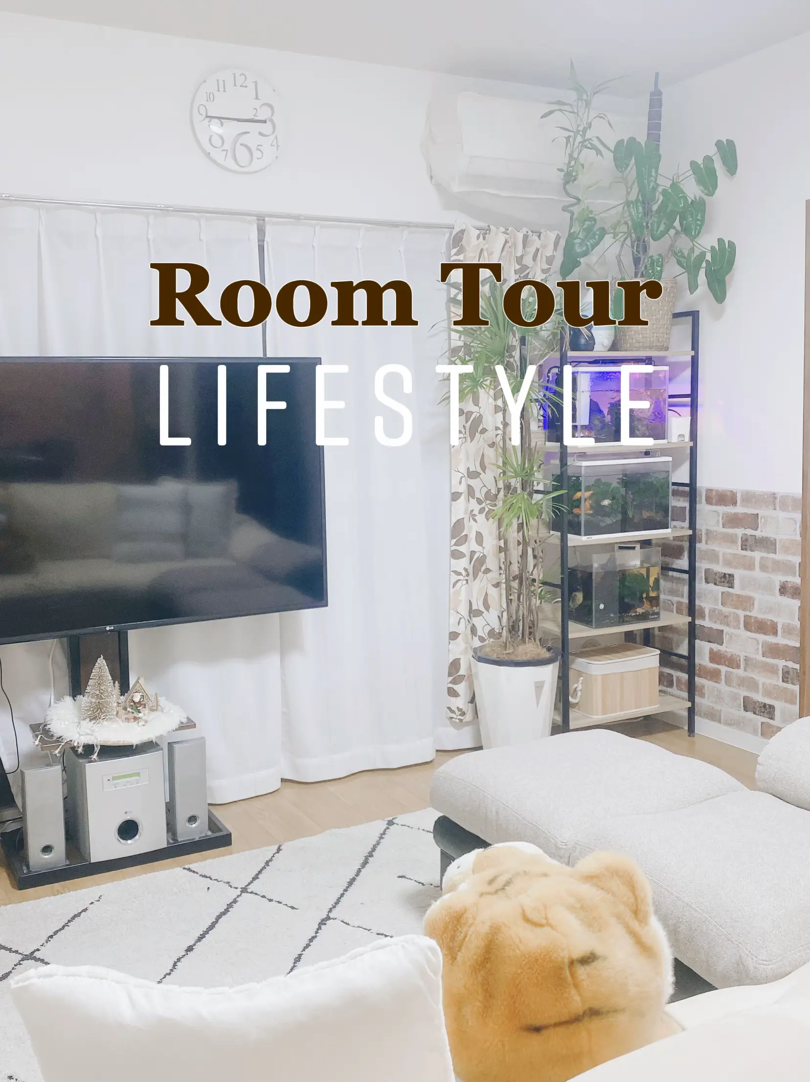 Room Tour, Gallery posted by 白と木大好きマリー