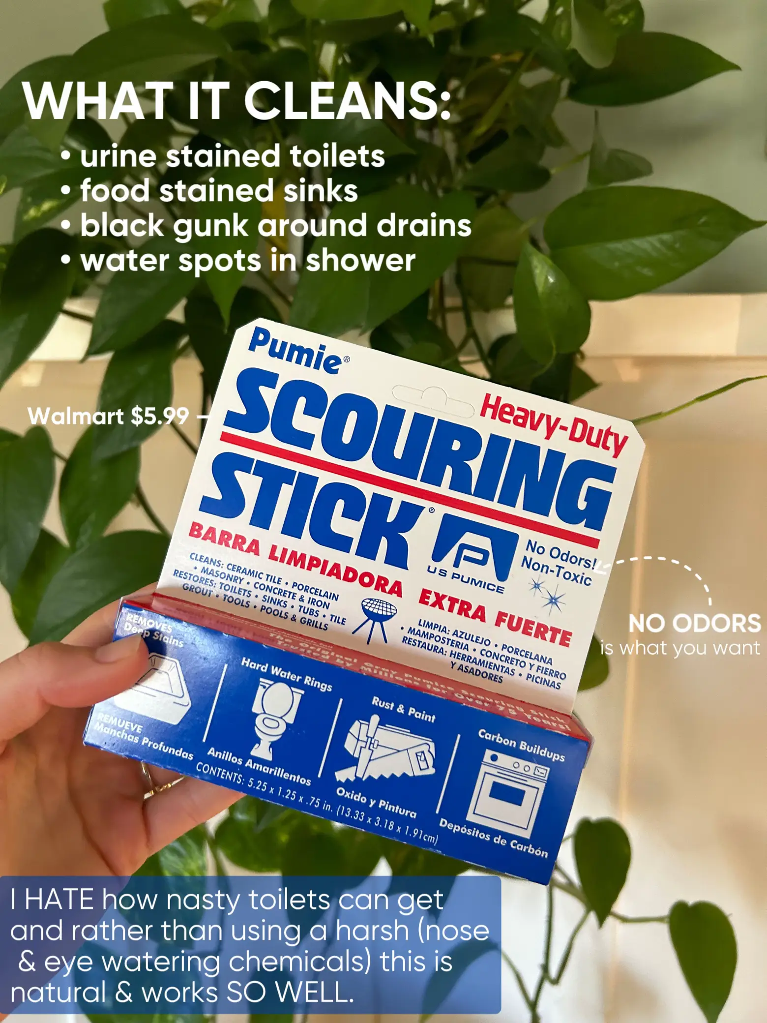 LOWTOX HOUSEHOLD CLEANERS Gallery posted by Bailey Seaton Lemon8