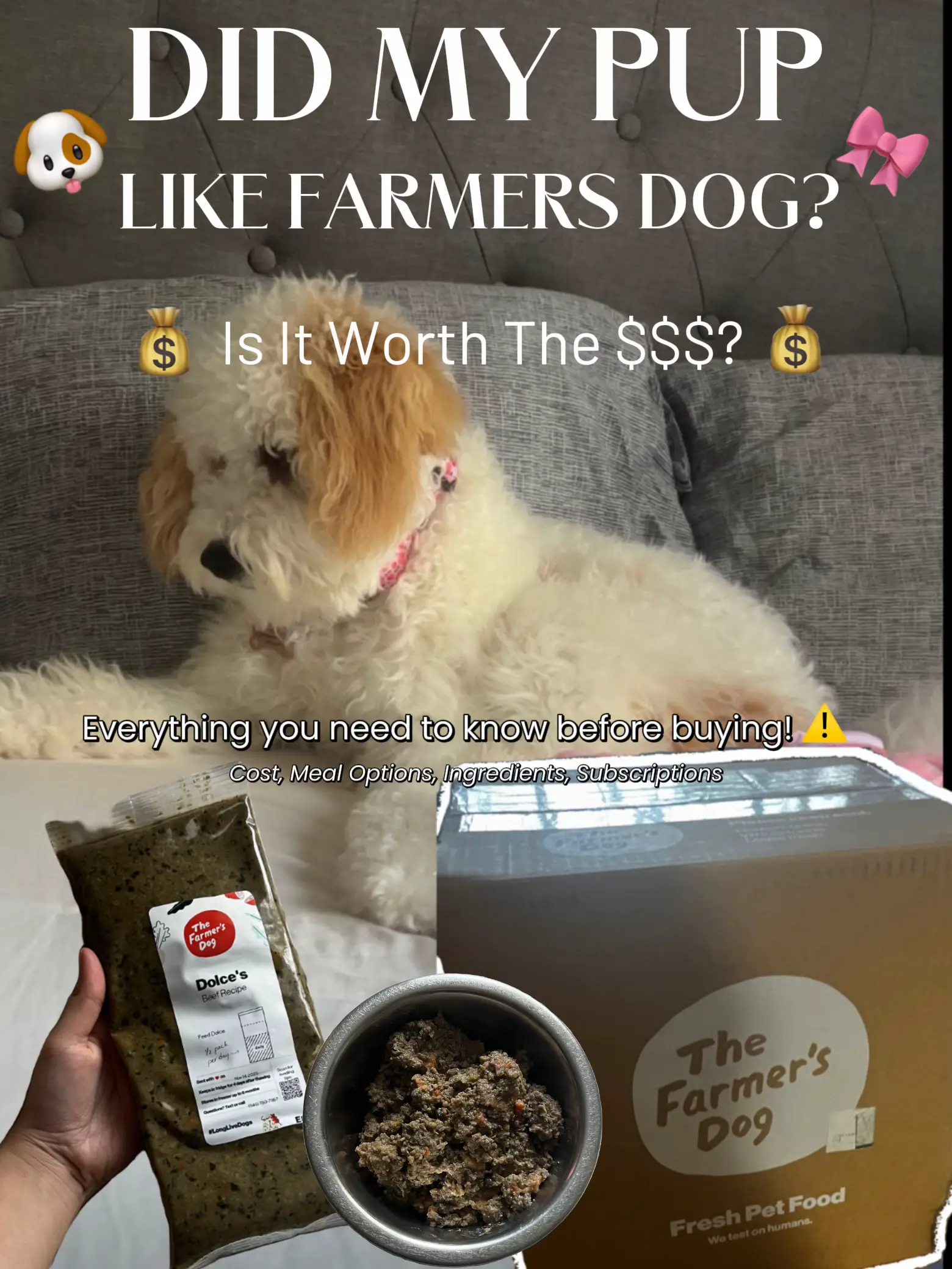 Cost of the farmer's dog best sale