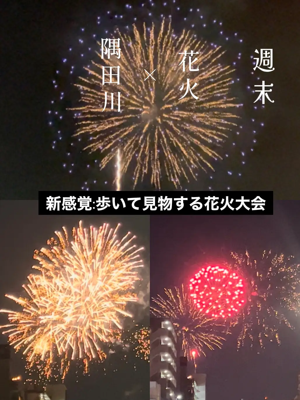 隅田川花火大会（５名分）市民協賛入場チケット、落札後にご指定の場所に持参手渡し交換（２３区内限定）。 - 興行チケット