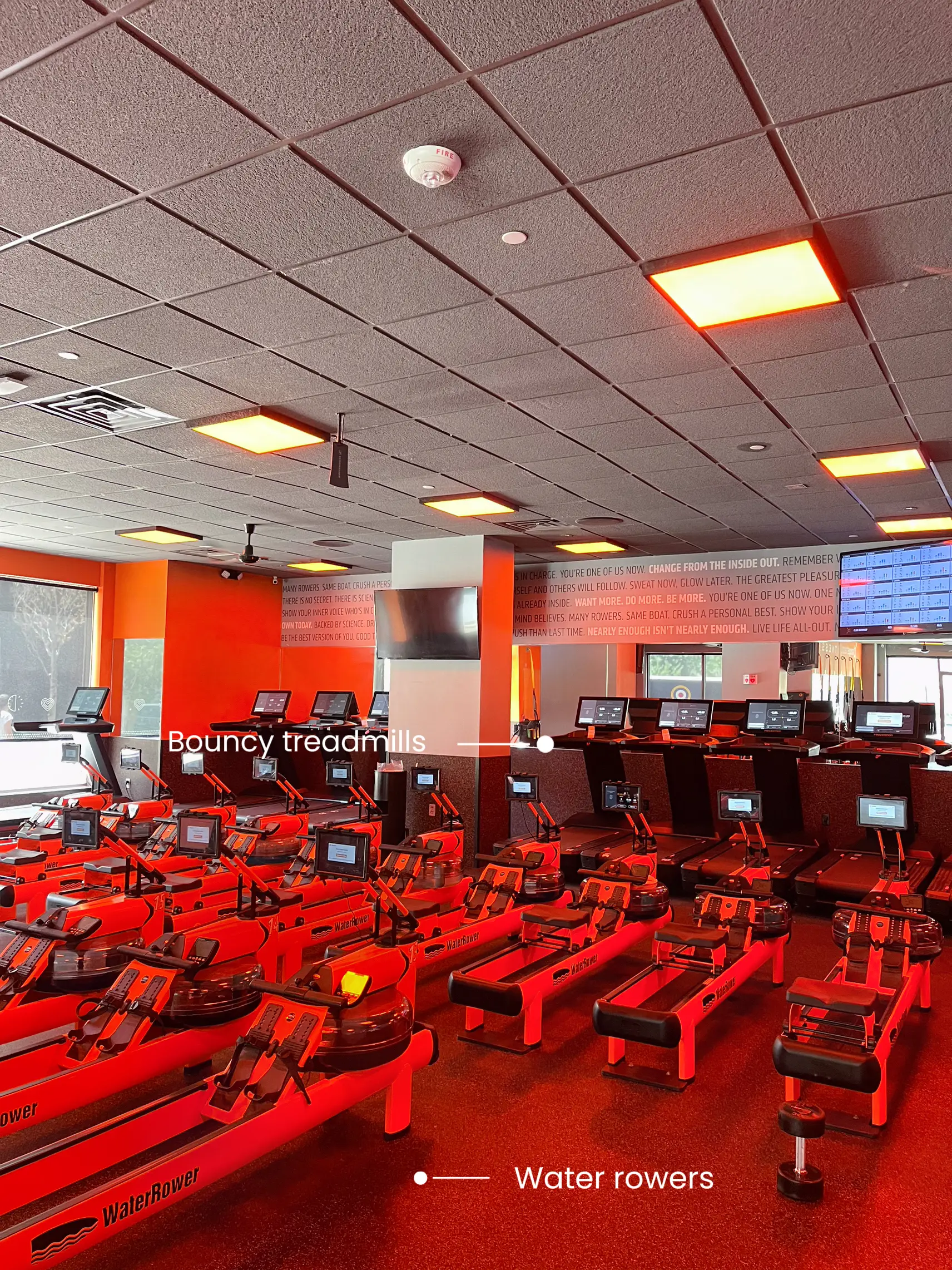  A gym with a lot of machines, including water rowers and bouncy treadmills.