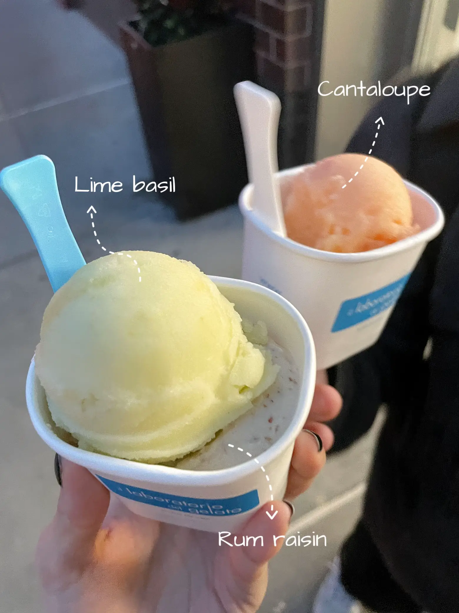 NYC Gelato Laboratory in Manhattan Galeri disiarkan oleh Big Croco Lemon8