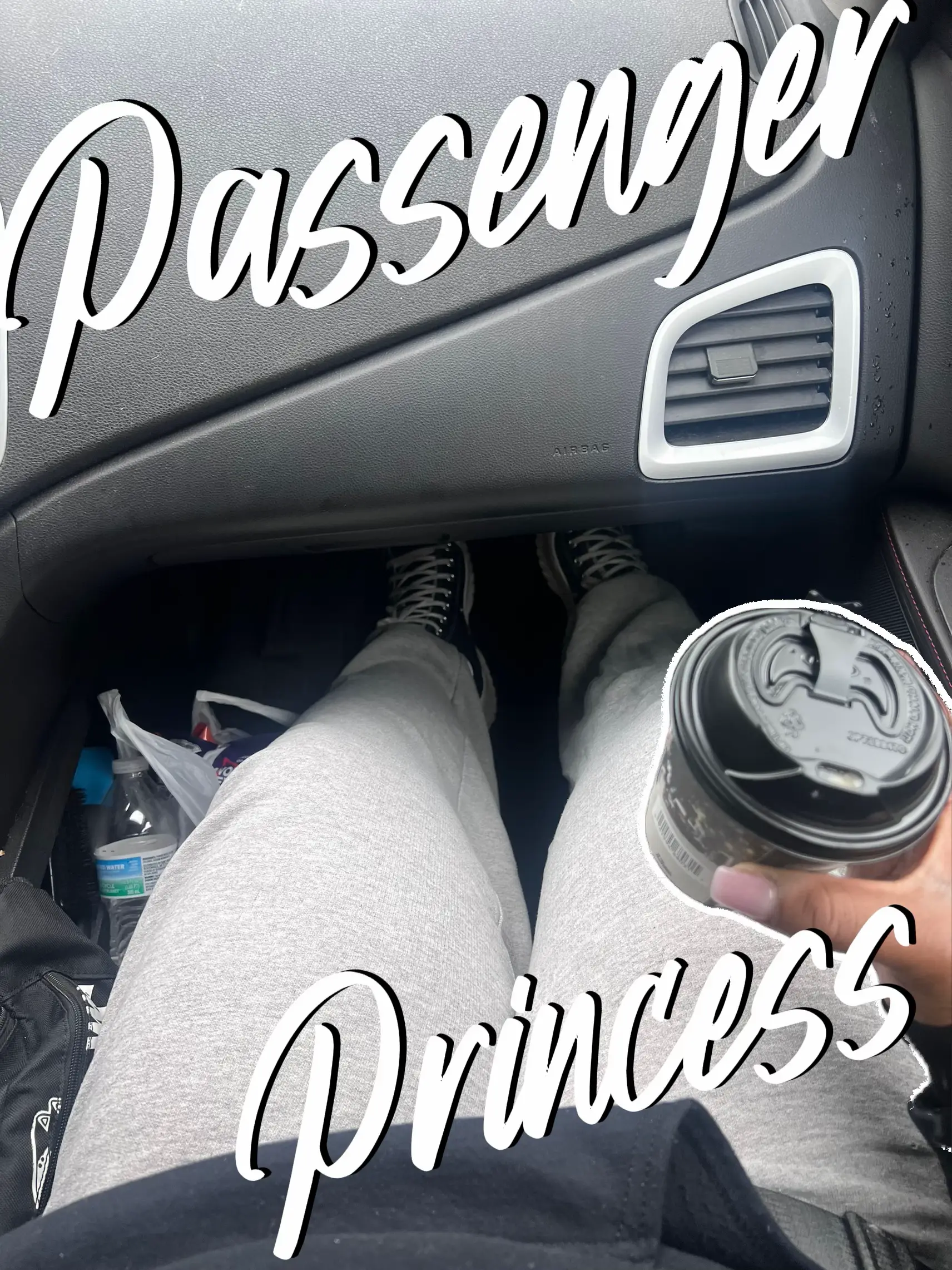 Passenger Princess Must Haves - Lemon8 Search